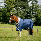 Amigo Turnout 1200D XL 50g Marineblau/Titangrau/Silber