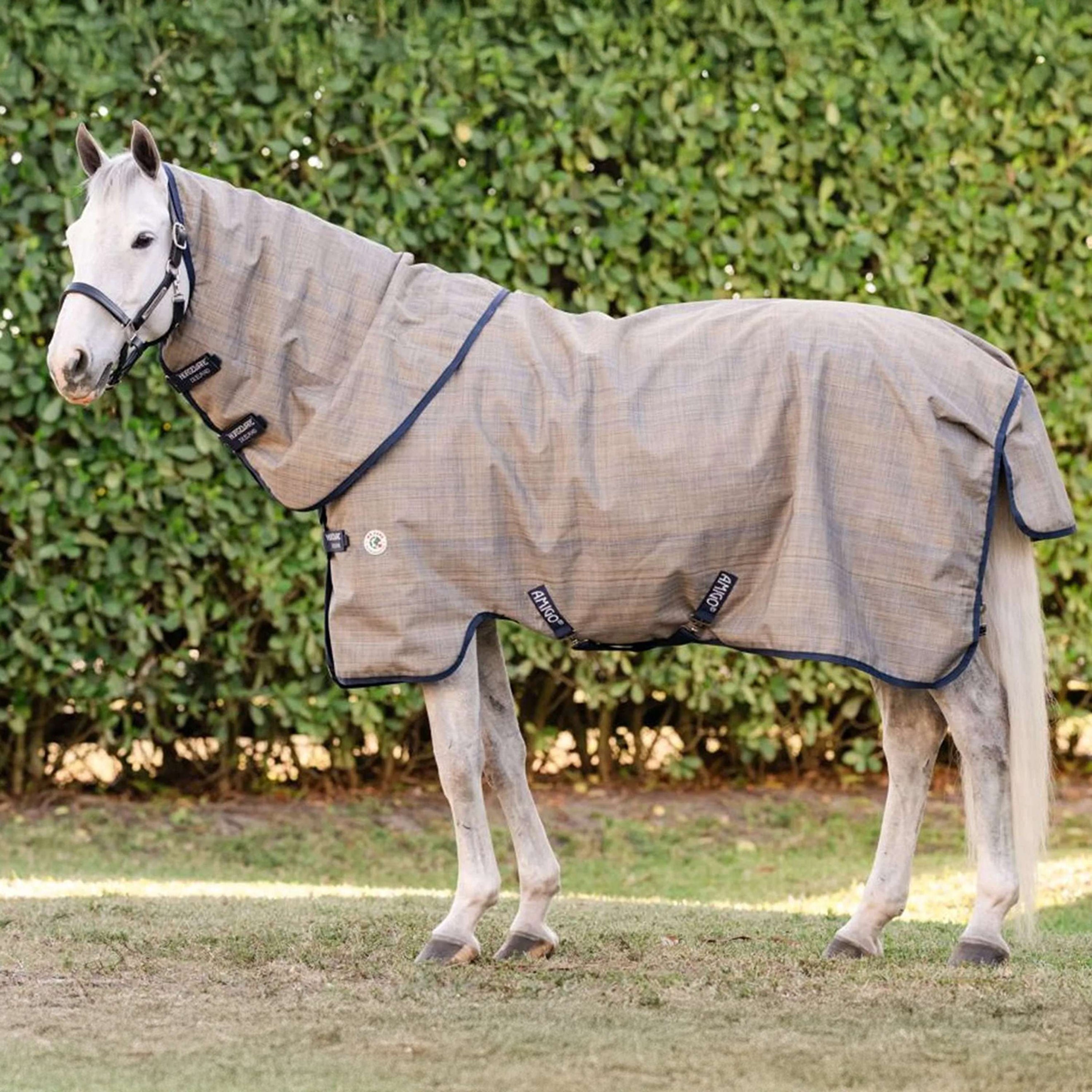 Amigo Turnout 900D Revive Plus 50g Amigo Turnout 900D Revive Plus 50g