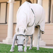 Rambo Hoody Pony Kreide/Huntergrün/Silber