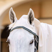 Rambo Hoody Pony Kreide/Huntergrün/Silber