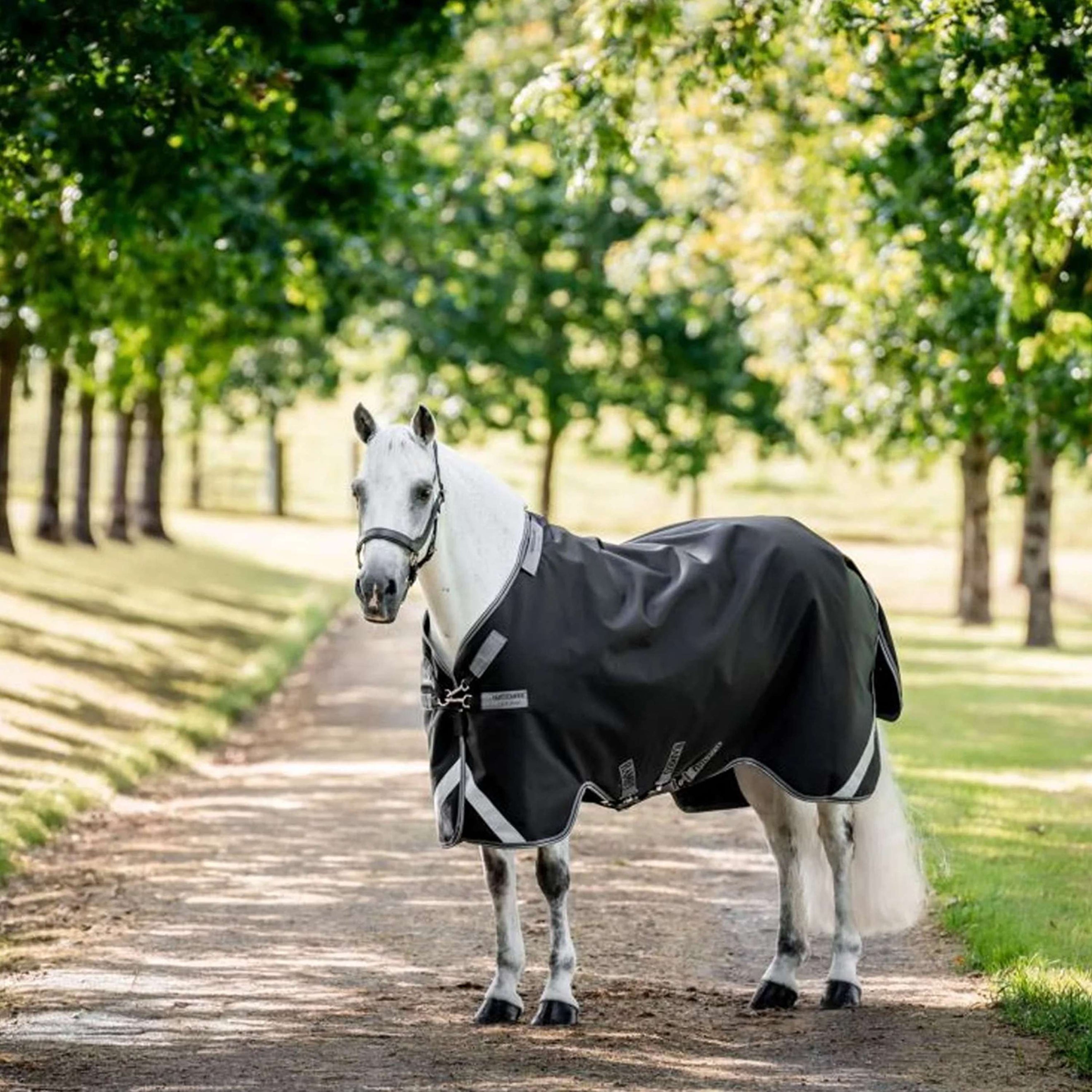 Rambo Turnout 1680D 0g Schwarz/Thunderstorm Grey/Silver Rambo Turnout 1680D 0g Schwarz/Thunderstorm Grey/Silver