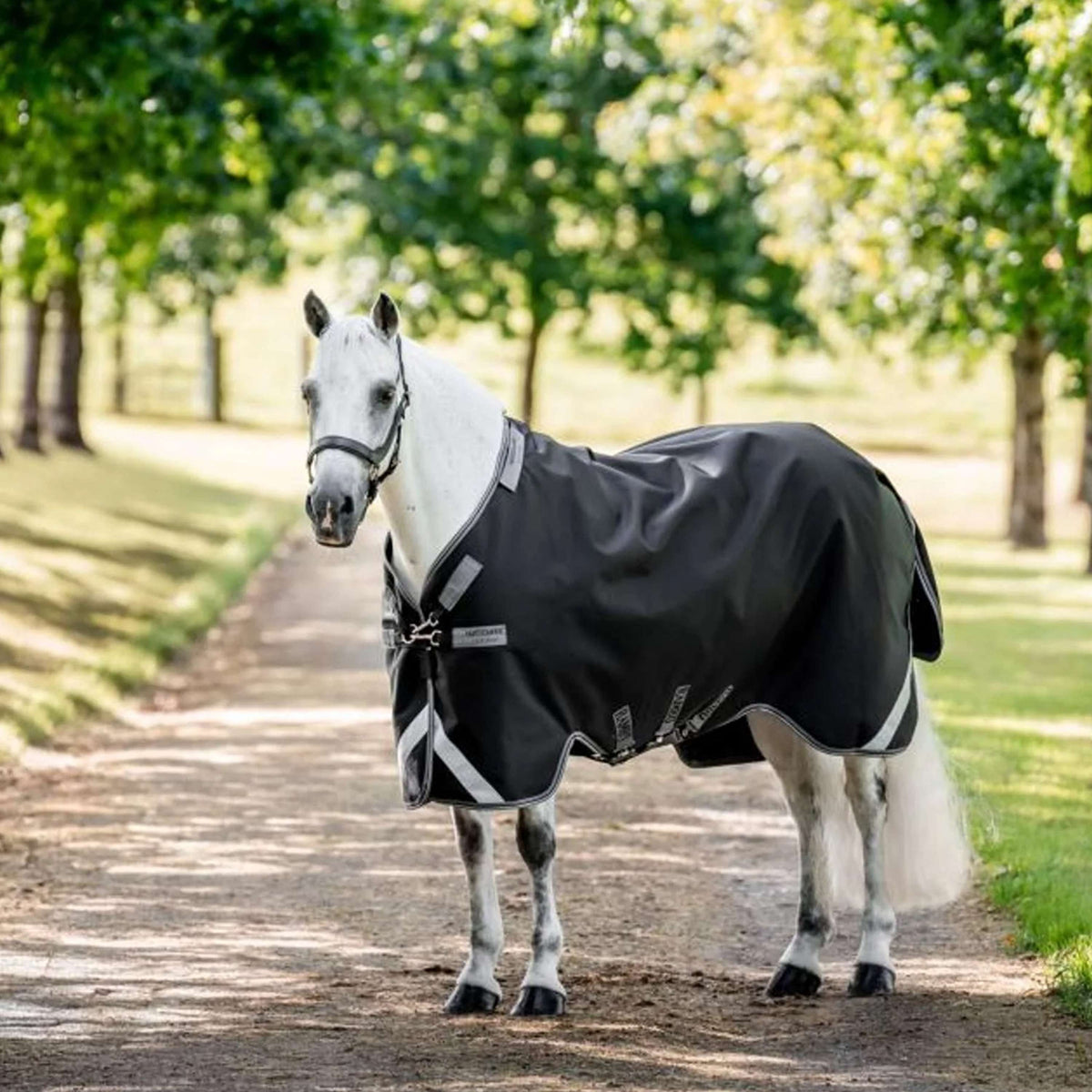 Rambo Turnout 1680D 50g Schwarz/Thunderstorm Grey/Silver