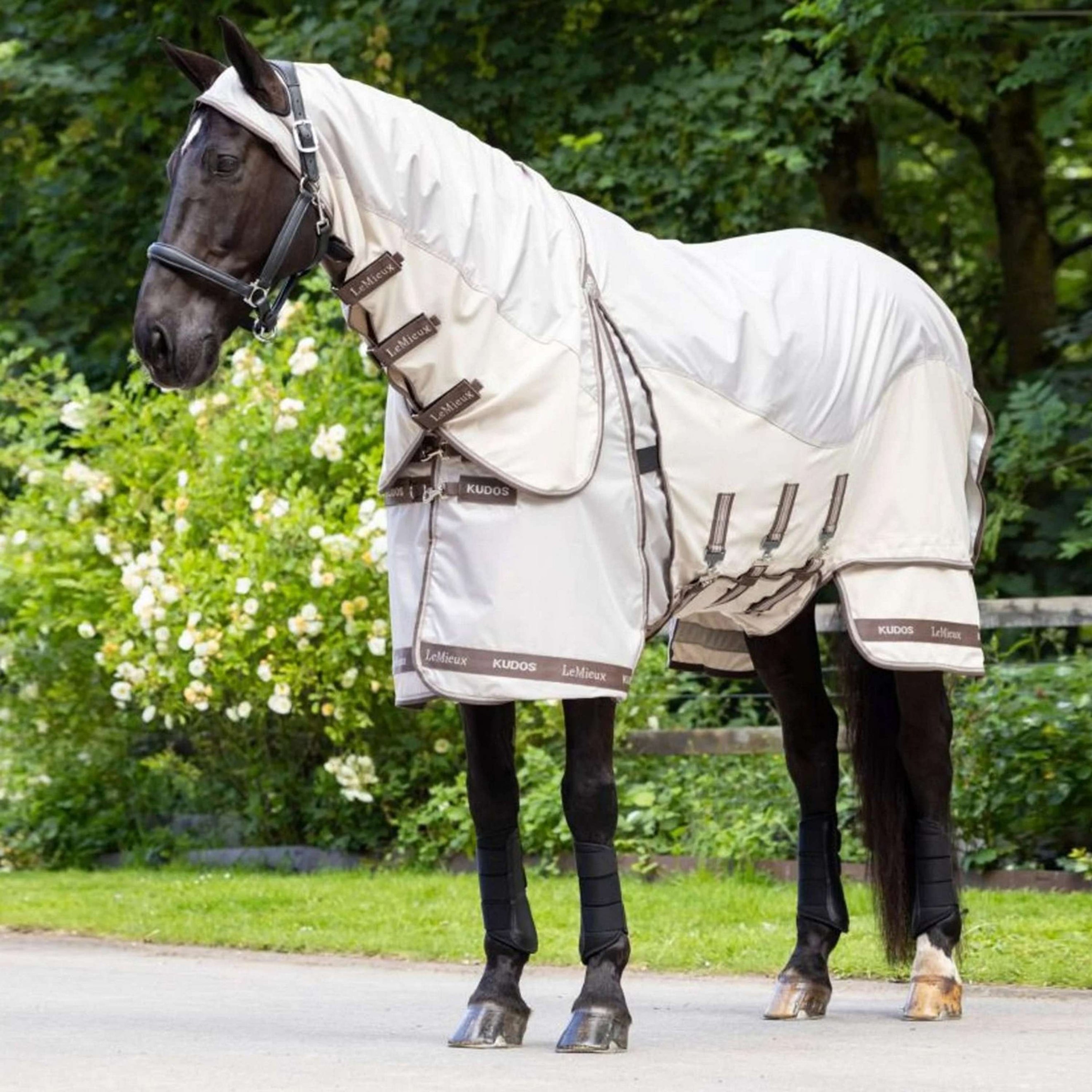 LeMieux Ekzemerdecke Kudos Shower Pro Sweet Itch Stein LeMieux Ekzemerdecke Kudos Shower Pro Sweet Itch Stein