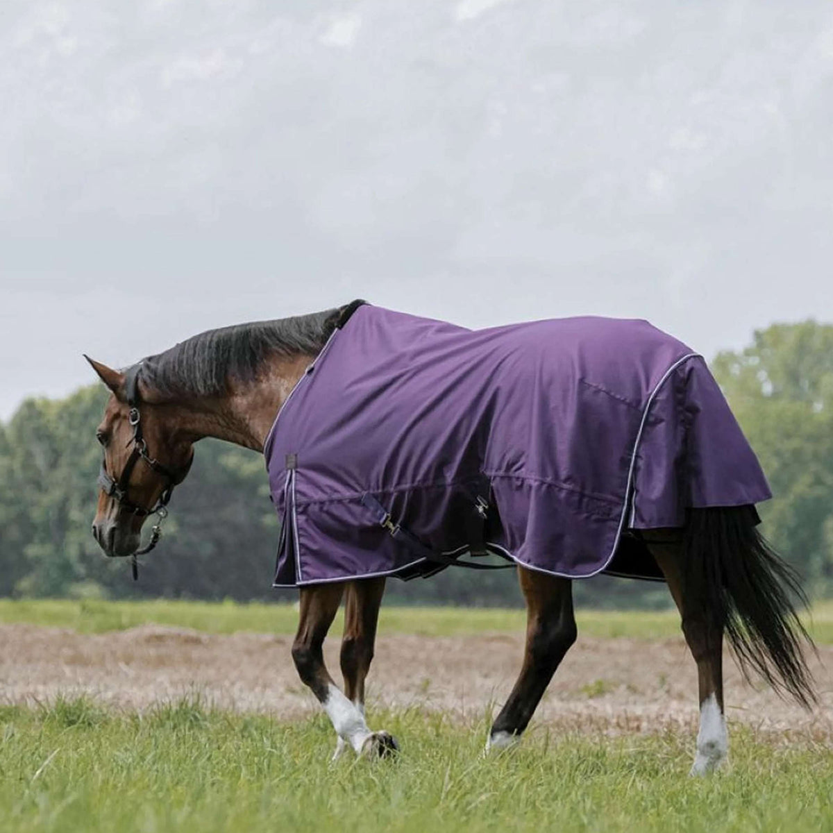 EQUITHÈME Outdoordecke Tyrex Aisance 600D 50g