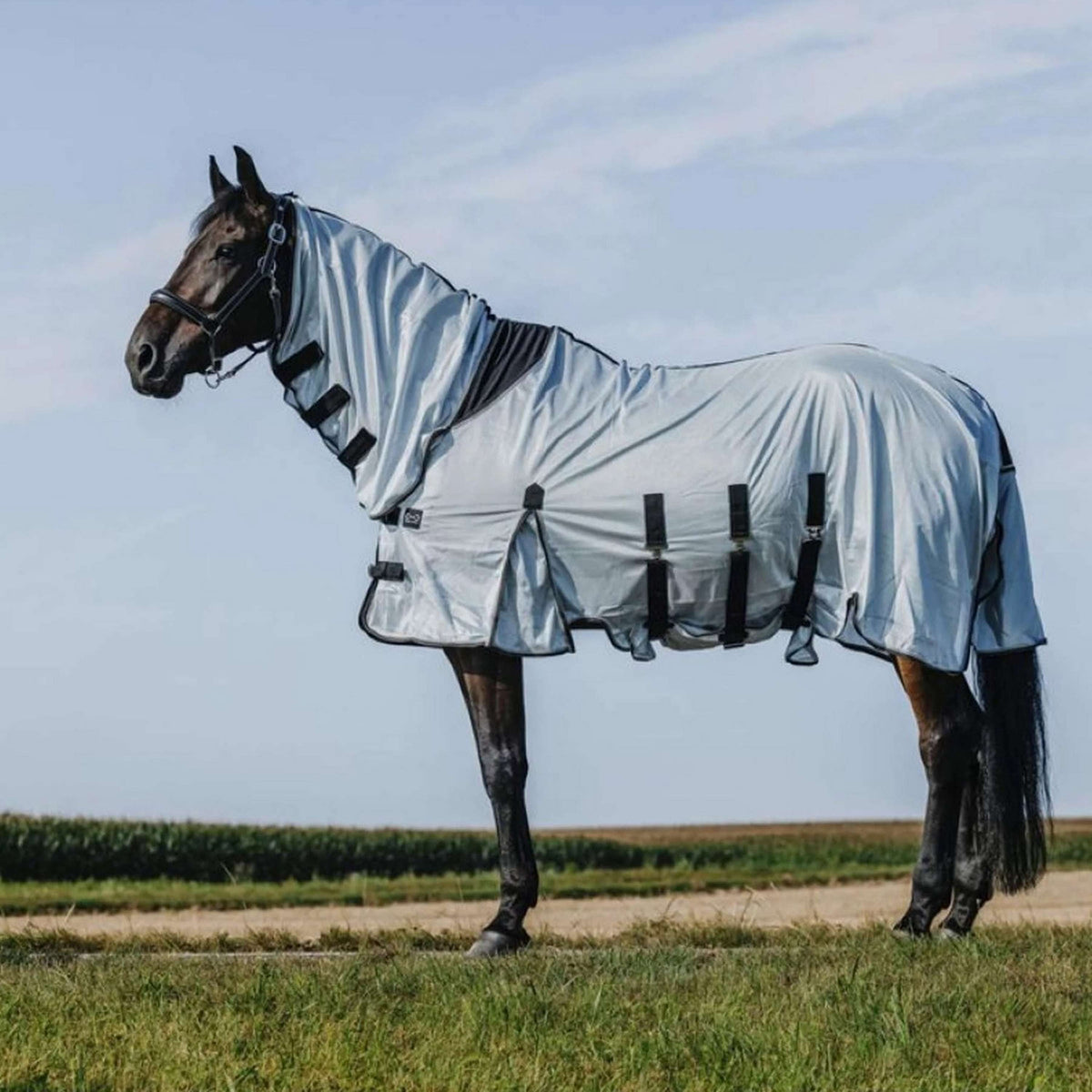 Riding World Fliegendecke Belly Mesh Combo Grau