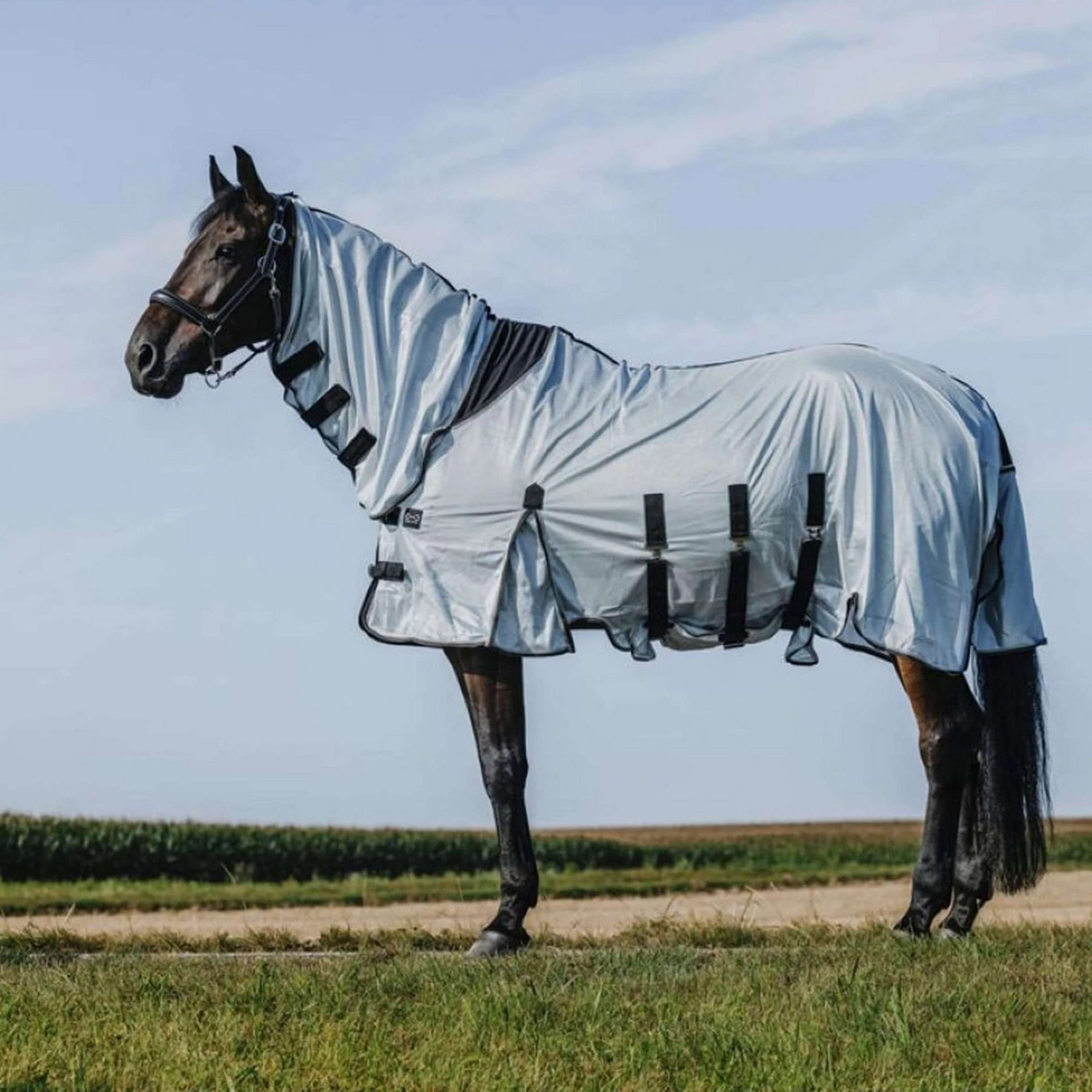 Riding World Fliegendecke Belly Mesh Combo Grau Riding World Fliegendecke Belly Mesh Combo Grau