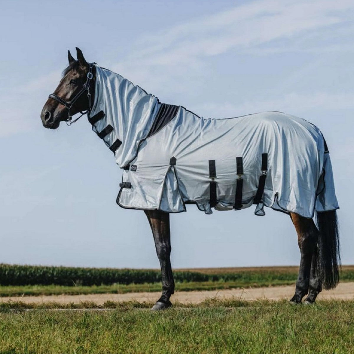 Riding World Fliegendecke Belly Mesh Combo Grau