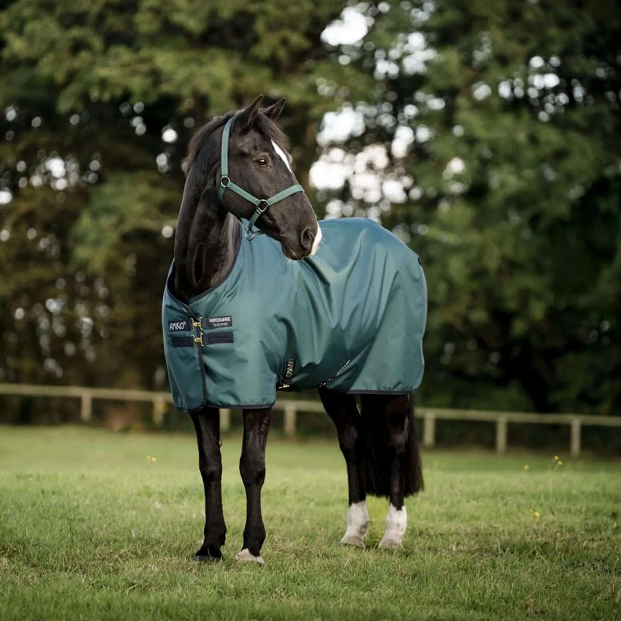 Amigo Ripstop 900D Pony 200g Dynasty Green/Navy/Silver Amigo Ripstop 900D Pony 200g Dynasty Green/Navy/Silver