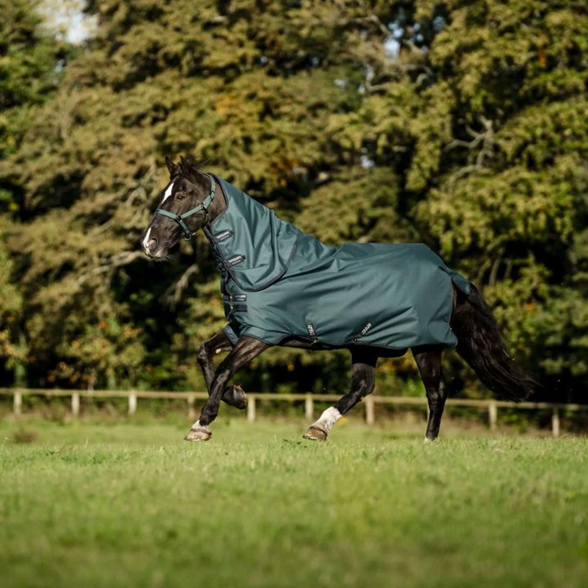 Amigo Halsstück Ripstop 900D 0g Dynasty Green/Navy/Silver
