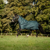 Amigo Halsstück Ripstop 900D 0g Dynasty Green/Navy/Silver