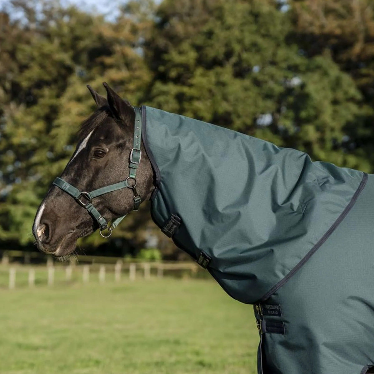 Amigo Halsstück Ripstop 900D 150g Dynasty Green/Navy/Silver