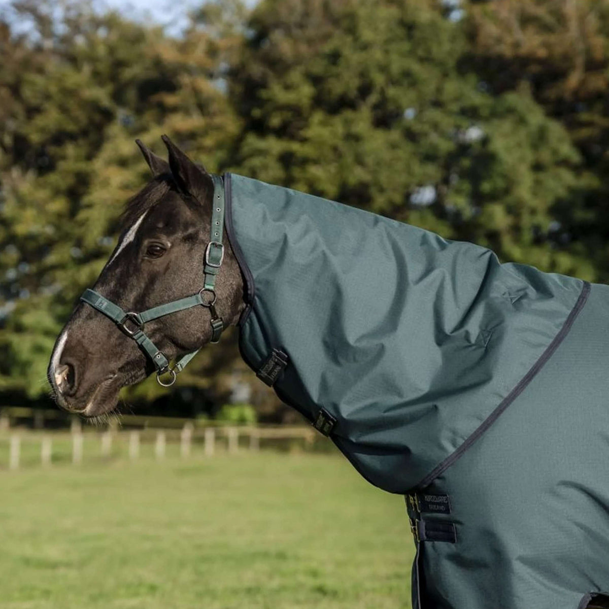 Amigo Ripstop 900D Plus Pony 50g Dynasty Green/Navy/Silver