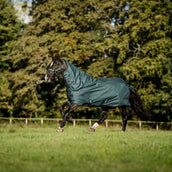 Amigo Ripstop 900D Plus 100g Dynasty Green/Navy/Silver