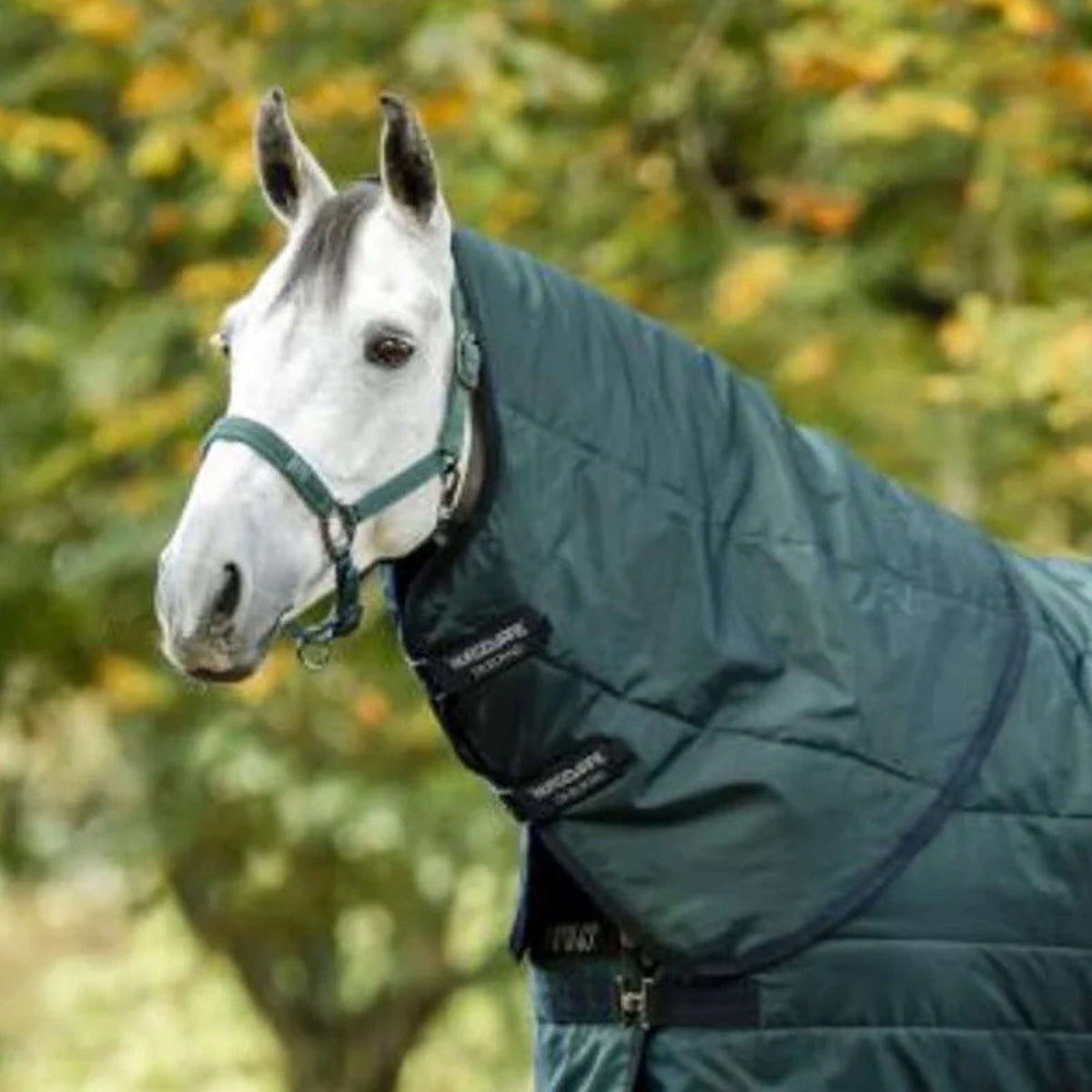 Amigo Halsstück Ripstip Insulator Stable 100g Dynasty Green/Navy/Silver