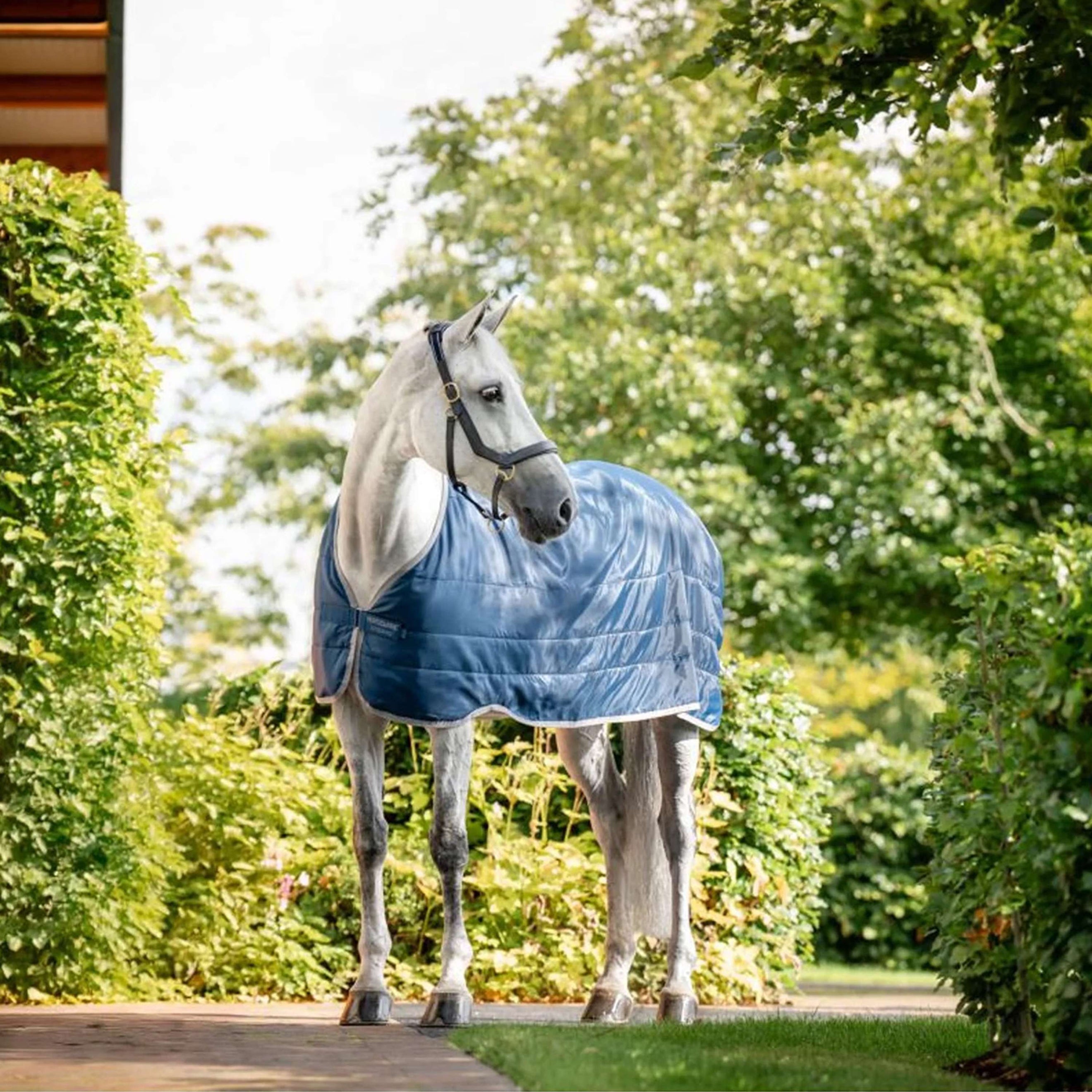 Horseware Ionic Therapy Liner 200g Imperial Blue/Silver/Navy Horseware Ionic Therapy Liner 200g Imperial Blue/Silver/Navy