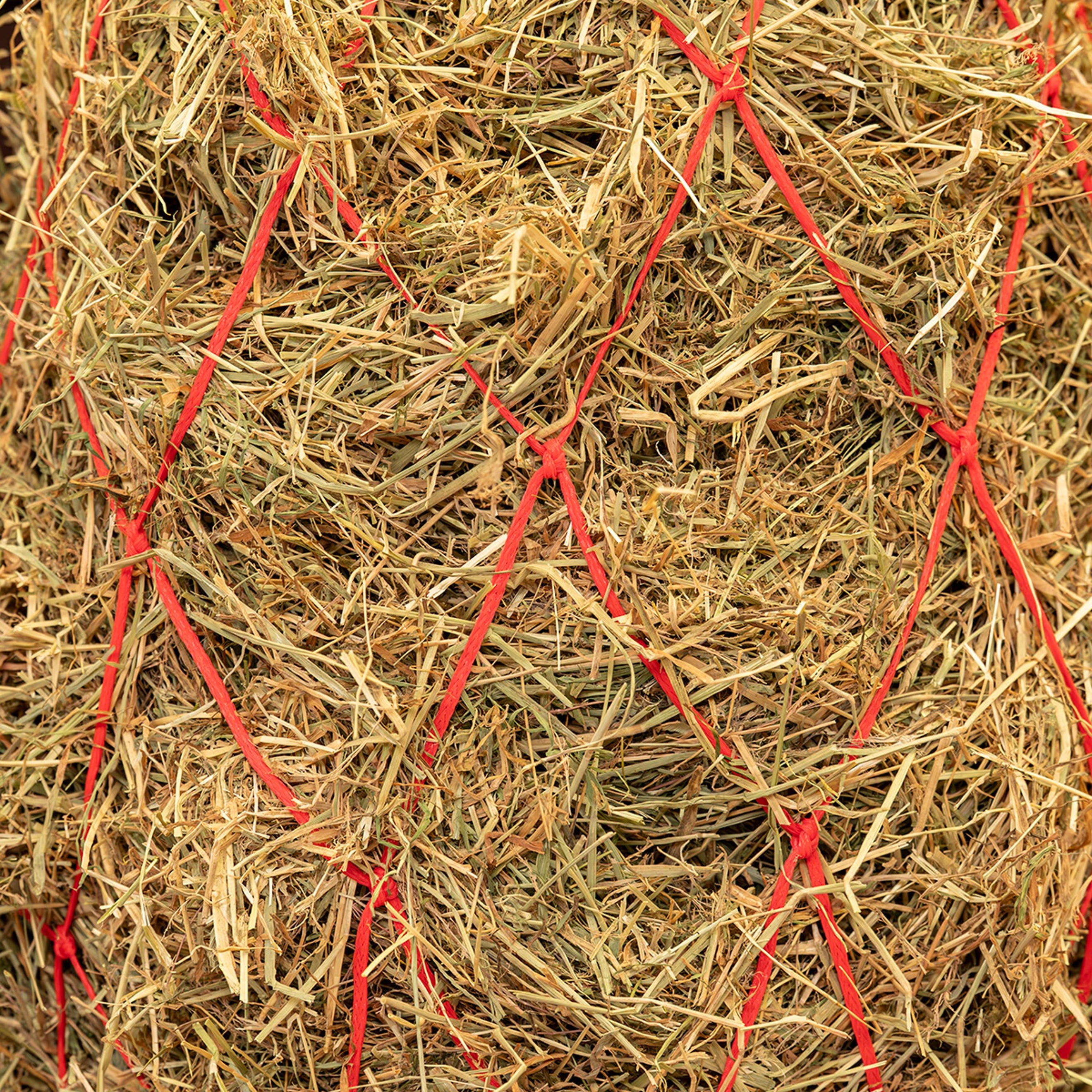 Agradi Horse Heunetz Masche 15x15cm Rot