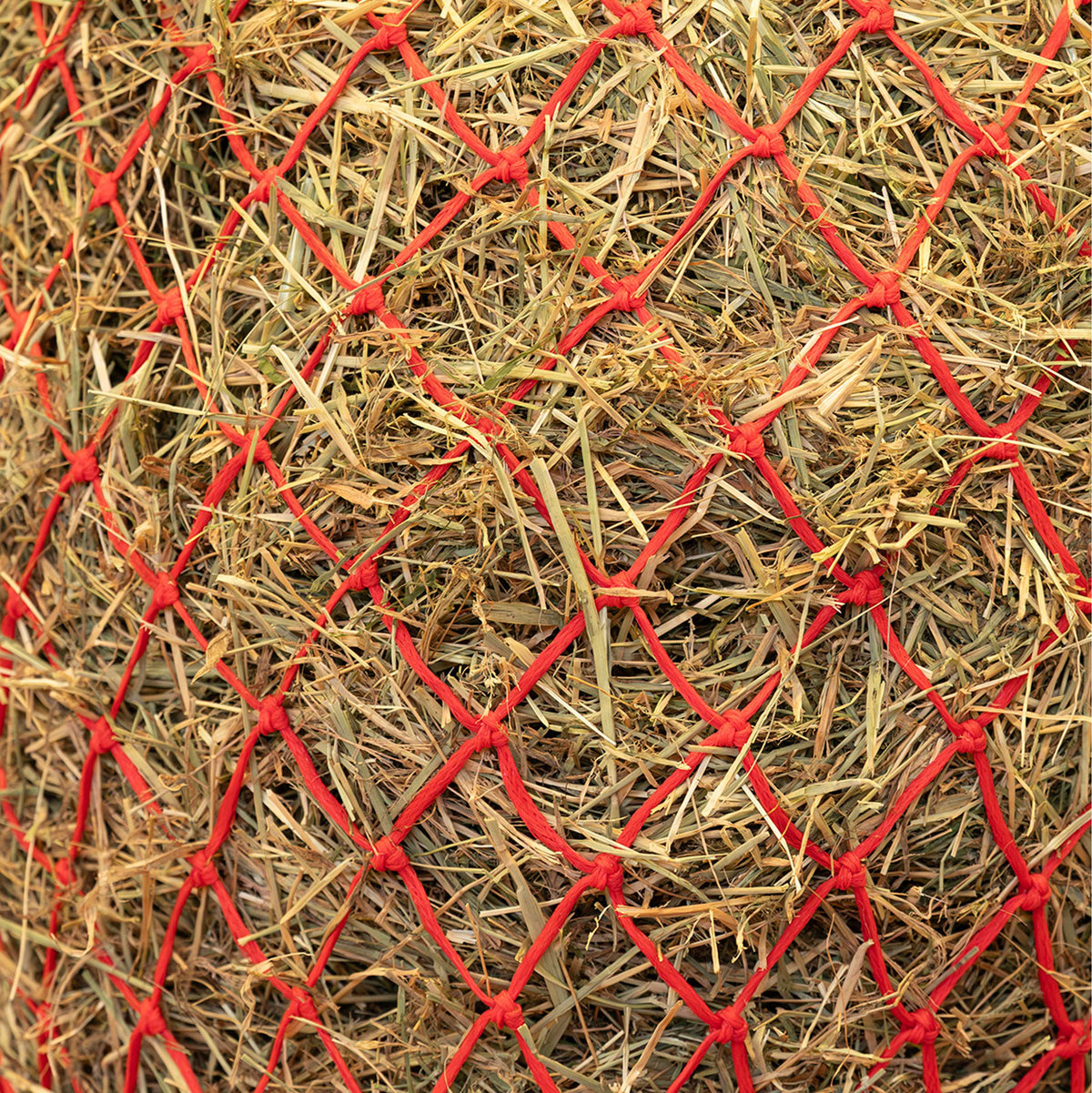 Agradi Horse Heunetz Feine Masche 5x5cm Rot