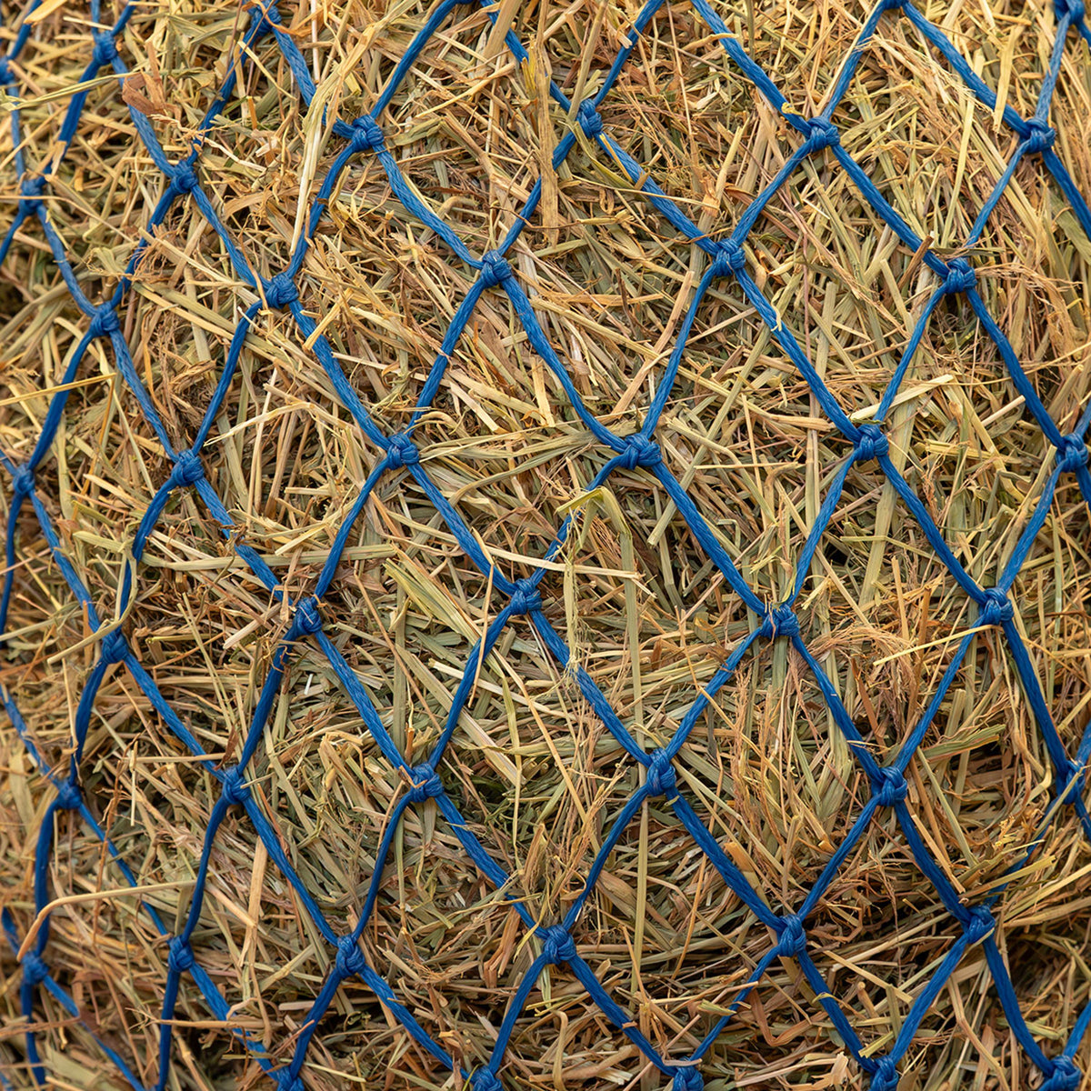 Agradi Horse Heunetz Feine Masche 5x5cm Blau