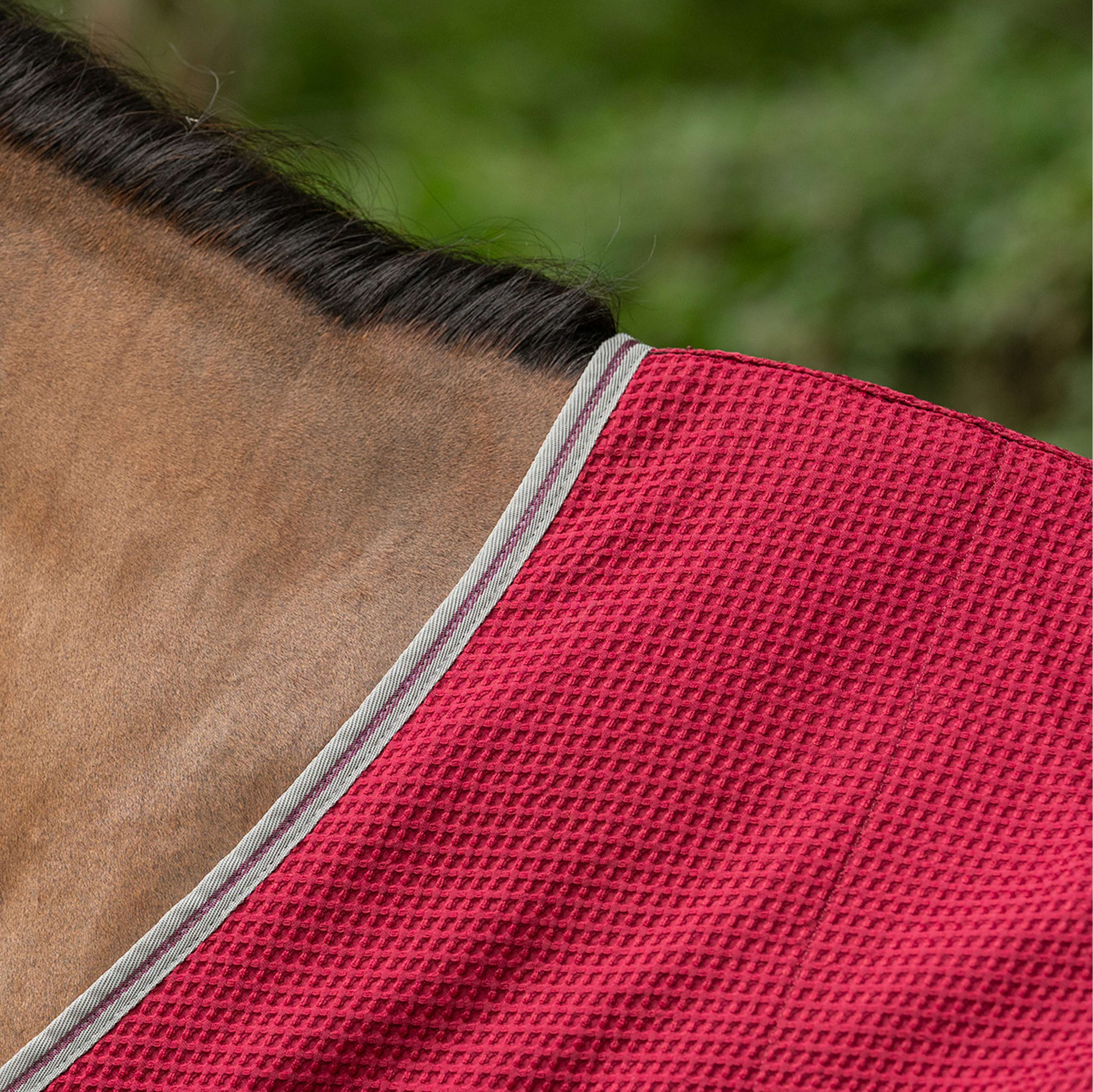 Velder Horsewear Premium Pony Waffle Cooler Rug Maulbeeren Rot
