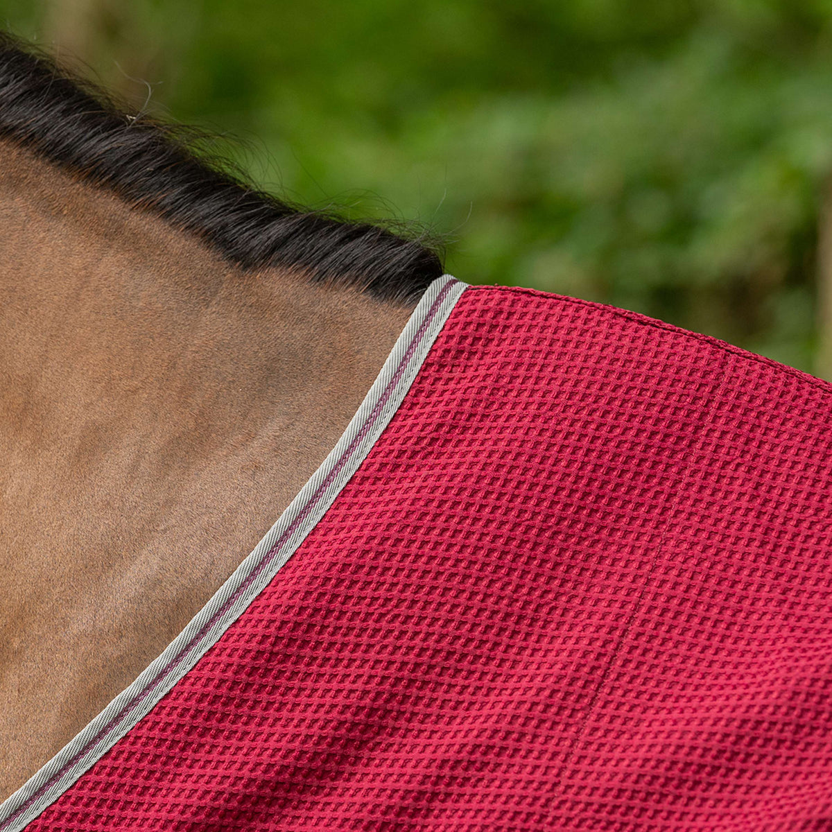 Velder Horsewear Waffle Cooler Rug Maulbeeren Rot
