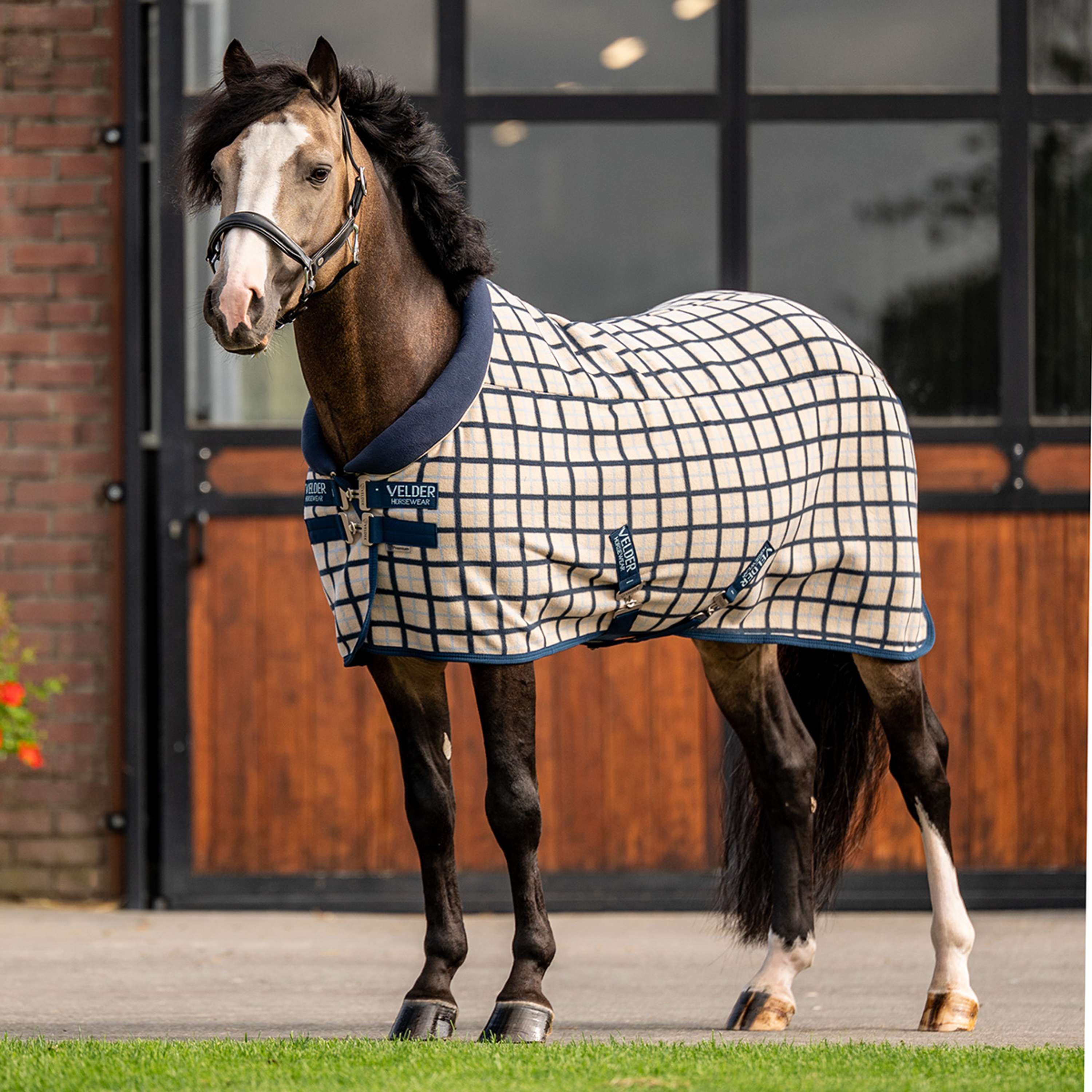 Velder Horsewear Premium Fleece Cooler with Collar Navy Check