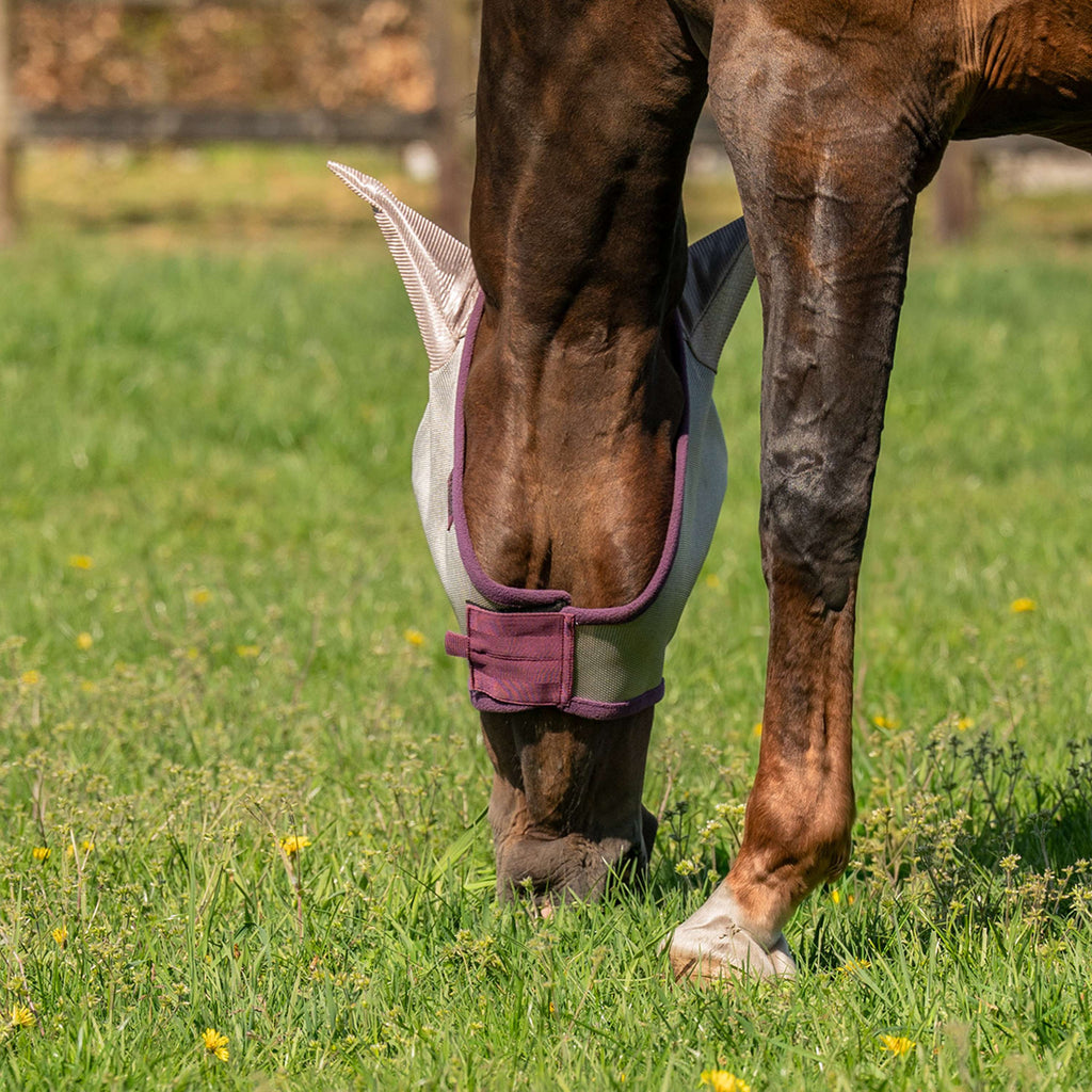 Velder Horsewear Essentials Fliegenmaske mit Ohren Sand Stone