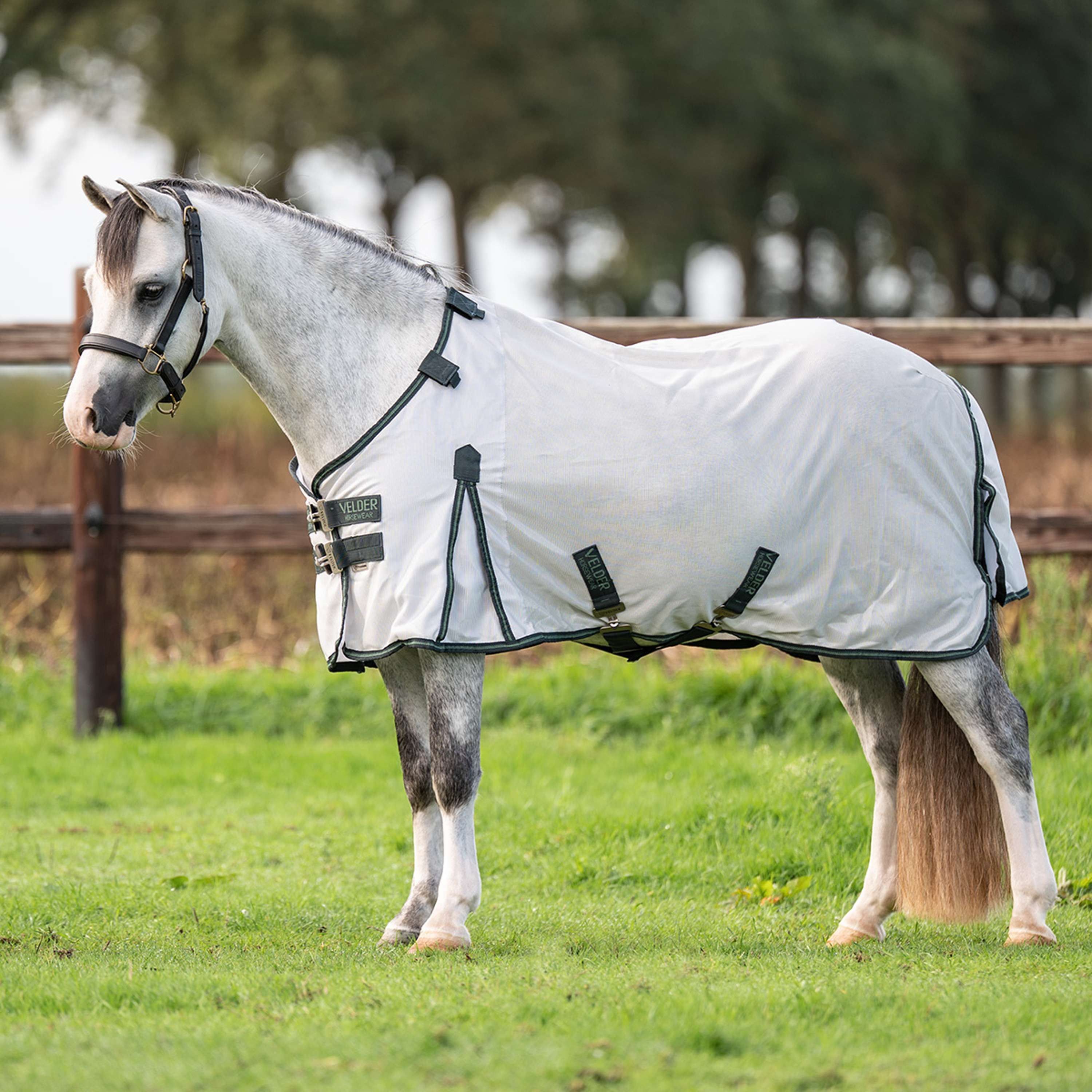 Velder Horsewear Premium Pony Fliegendecke Guardian AirMesh Silver Mist