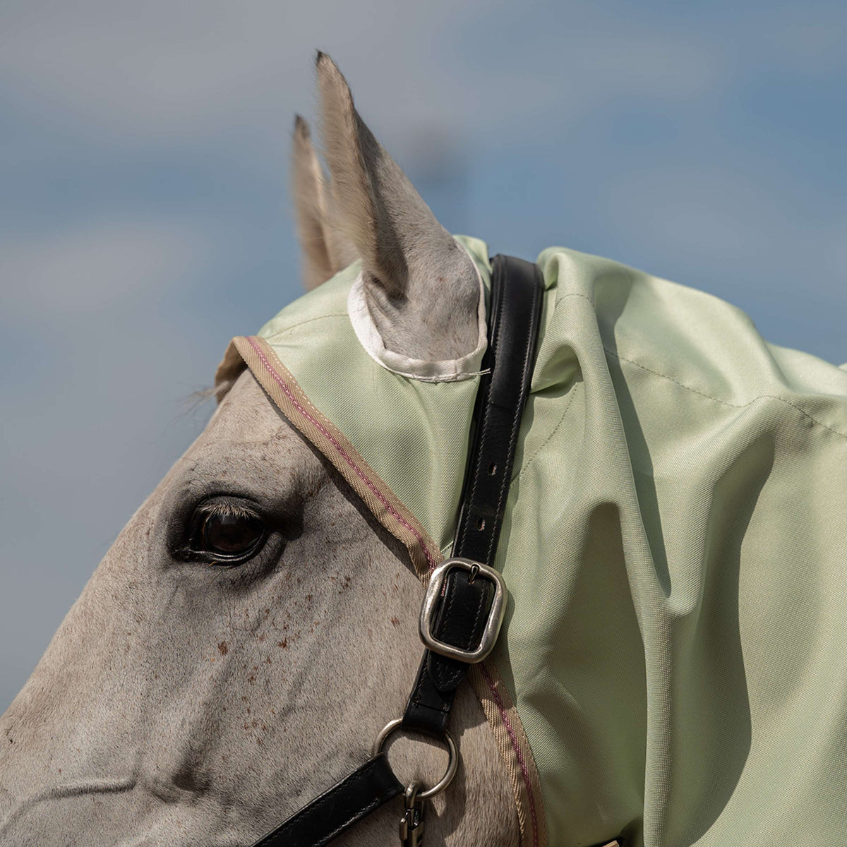 Velder Horsewear Lightweight Sweet Itch Rug Sage Light
