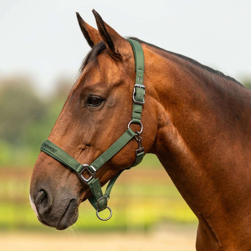 Velder Horsewear Premium Halfter Satin Glow Olive Mist