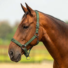 Velder Horsewear Premium Halfter Satin Glow Olive Mist