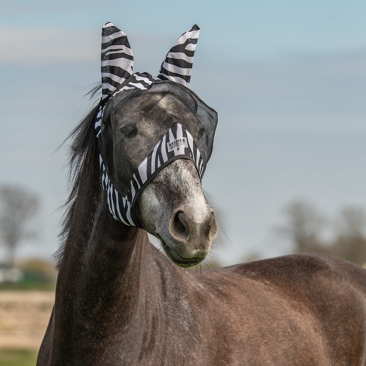 Velder Horsewear Fliegenmaske Zebra mit Ohren Schwarz/Weiß