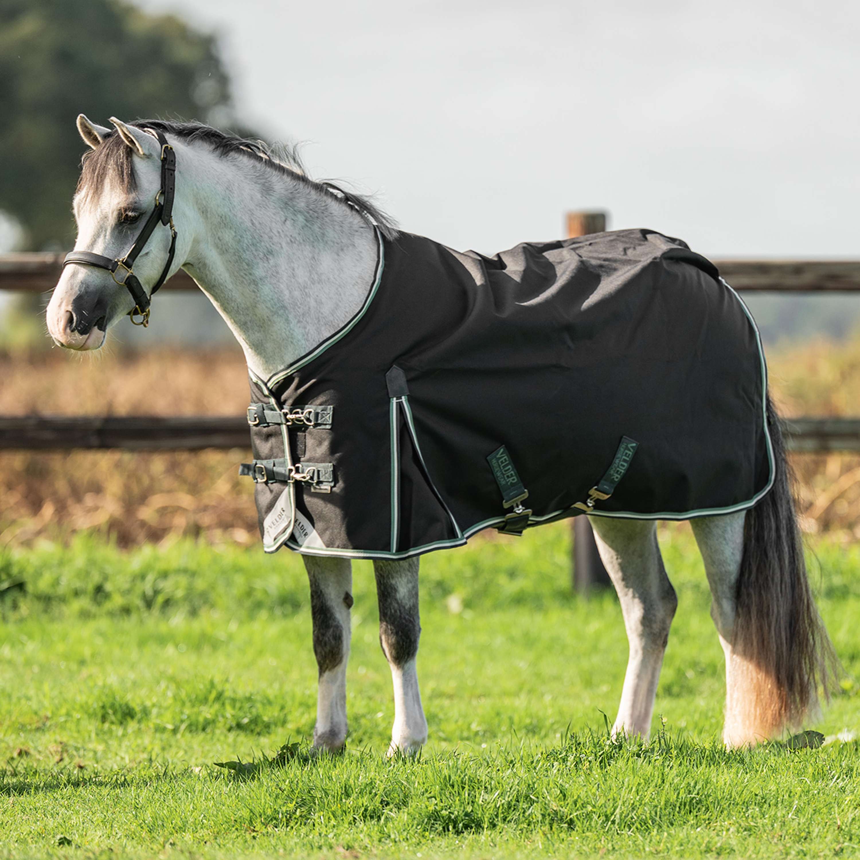 Velder Horsewear Premium Pony Turnout 1200D 0g EasyClip Night Forest