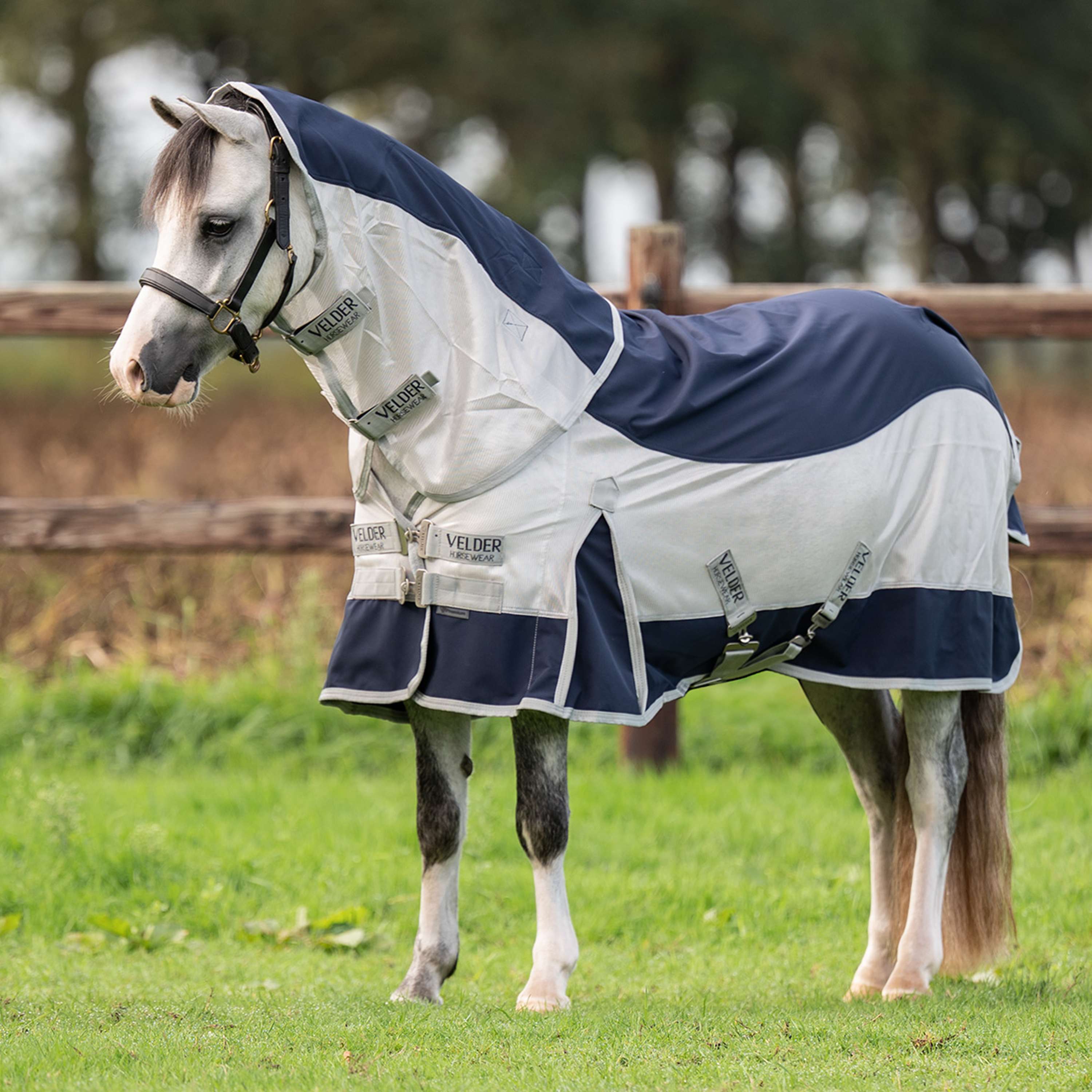 Velder Horsewear Premium Pony Fliegendecke Rainless Fall Navy/Pearl Silver