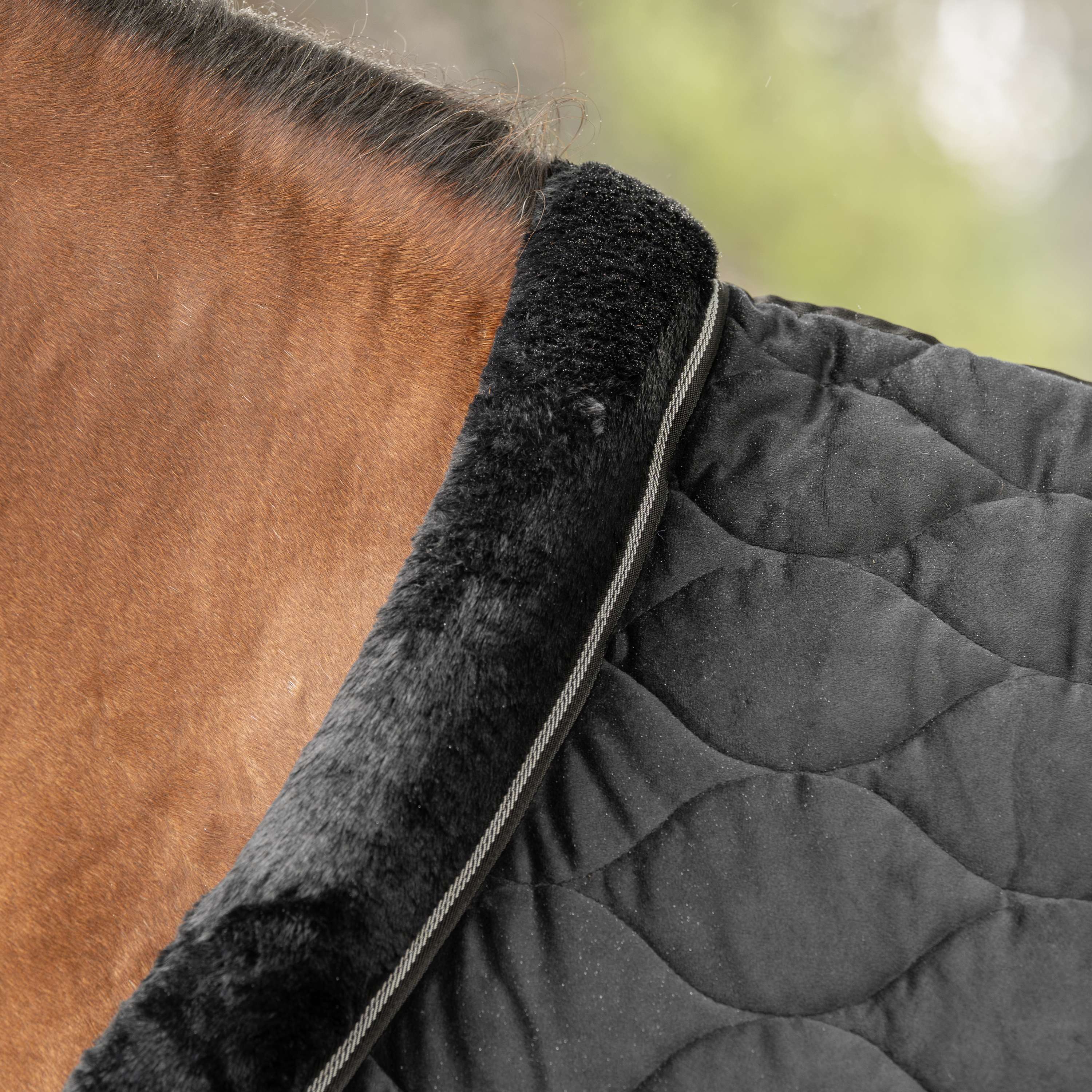 Velder Horsewear Premium Pony Showdecke Satin Glow Black Night