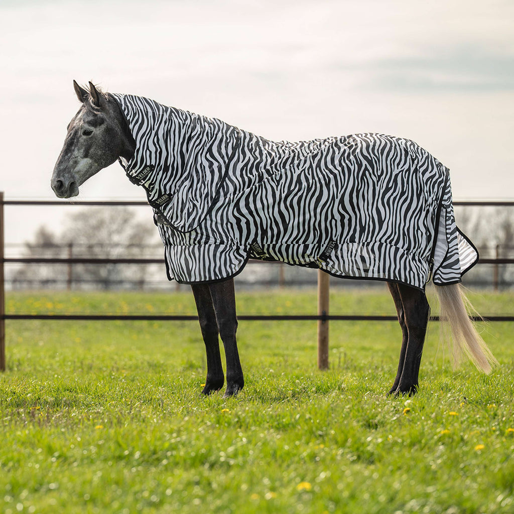 Velder Horsewear Essentials Fliegendecke mit Halsteil Zebra Schwarz/Weiß