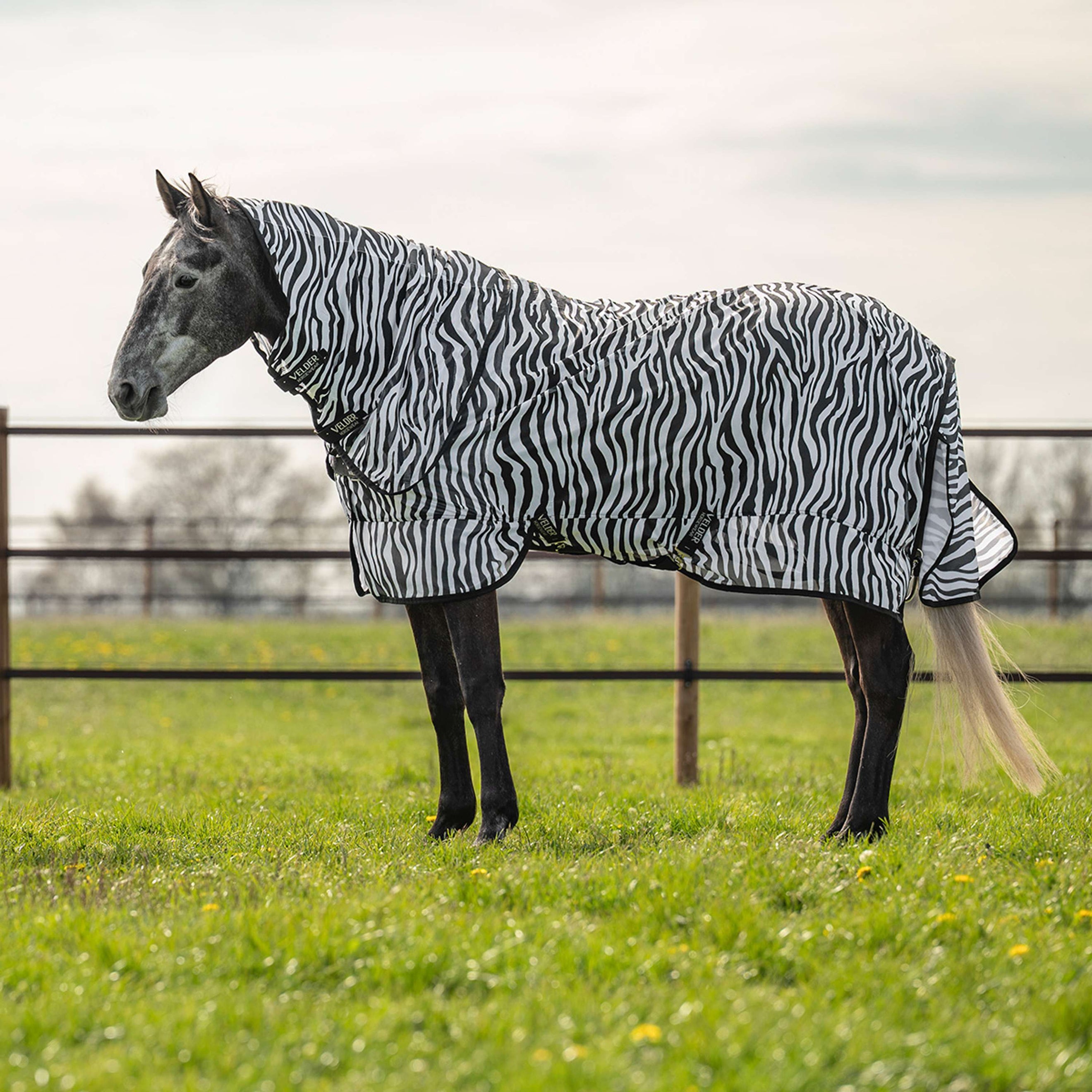 Velder Horsewear Essentials Fliegendecke mit Halsteil Zebra Schwarz/Weiß