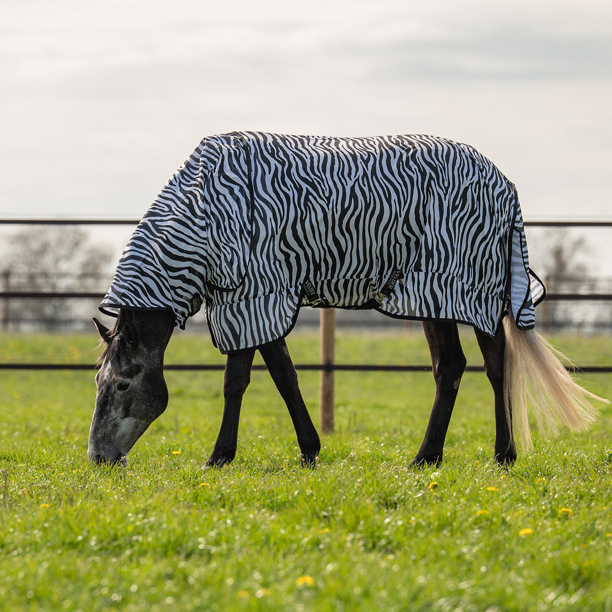 Velder Horsewear Fliegendecke mit Halsteil Zebra Schwarz/Weiß
