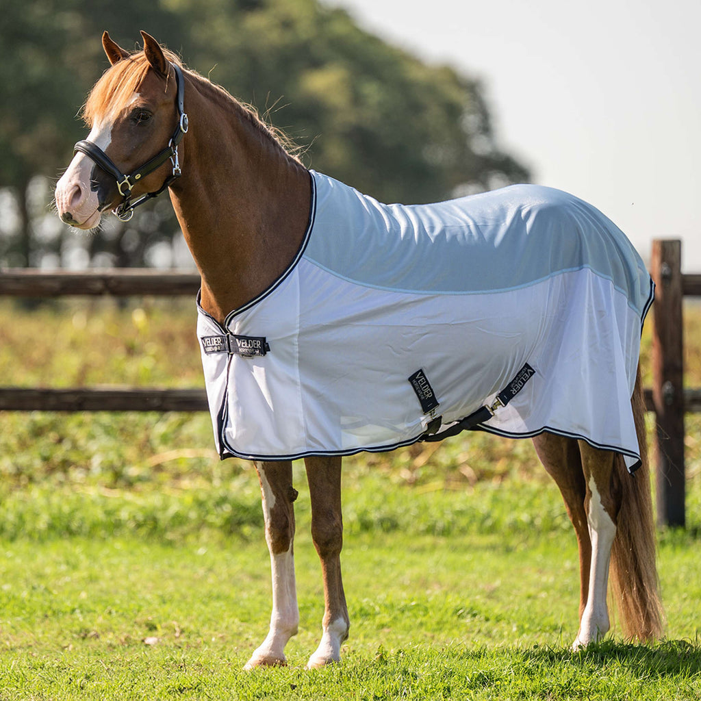 Velder Horsewear Essentials Pony Fliegendecke Blush Blue