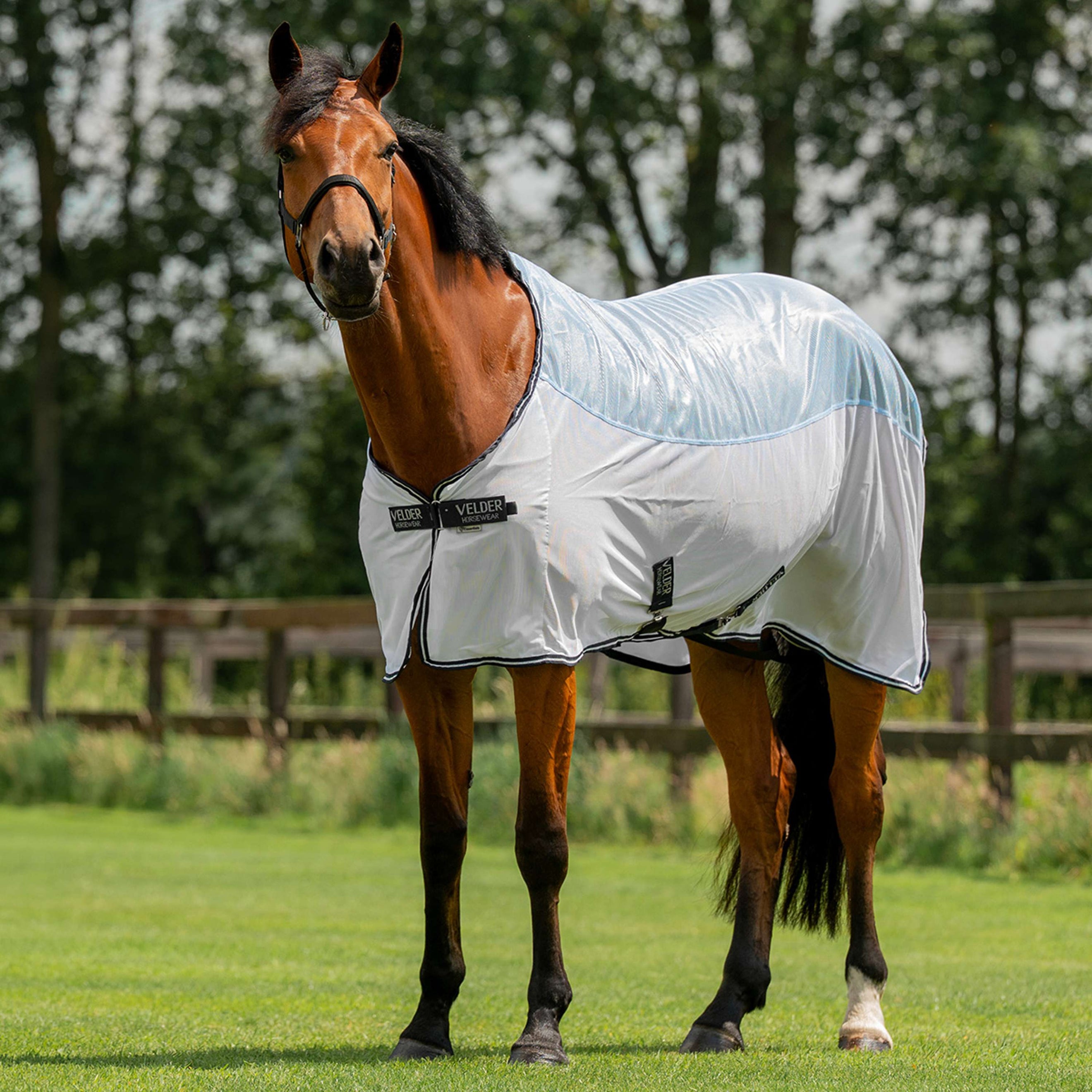 Velder Horsewear Essentials Fliegendecke Blush Blue Velder Horsewear Essentials Fliegendecke Blush Blue