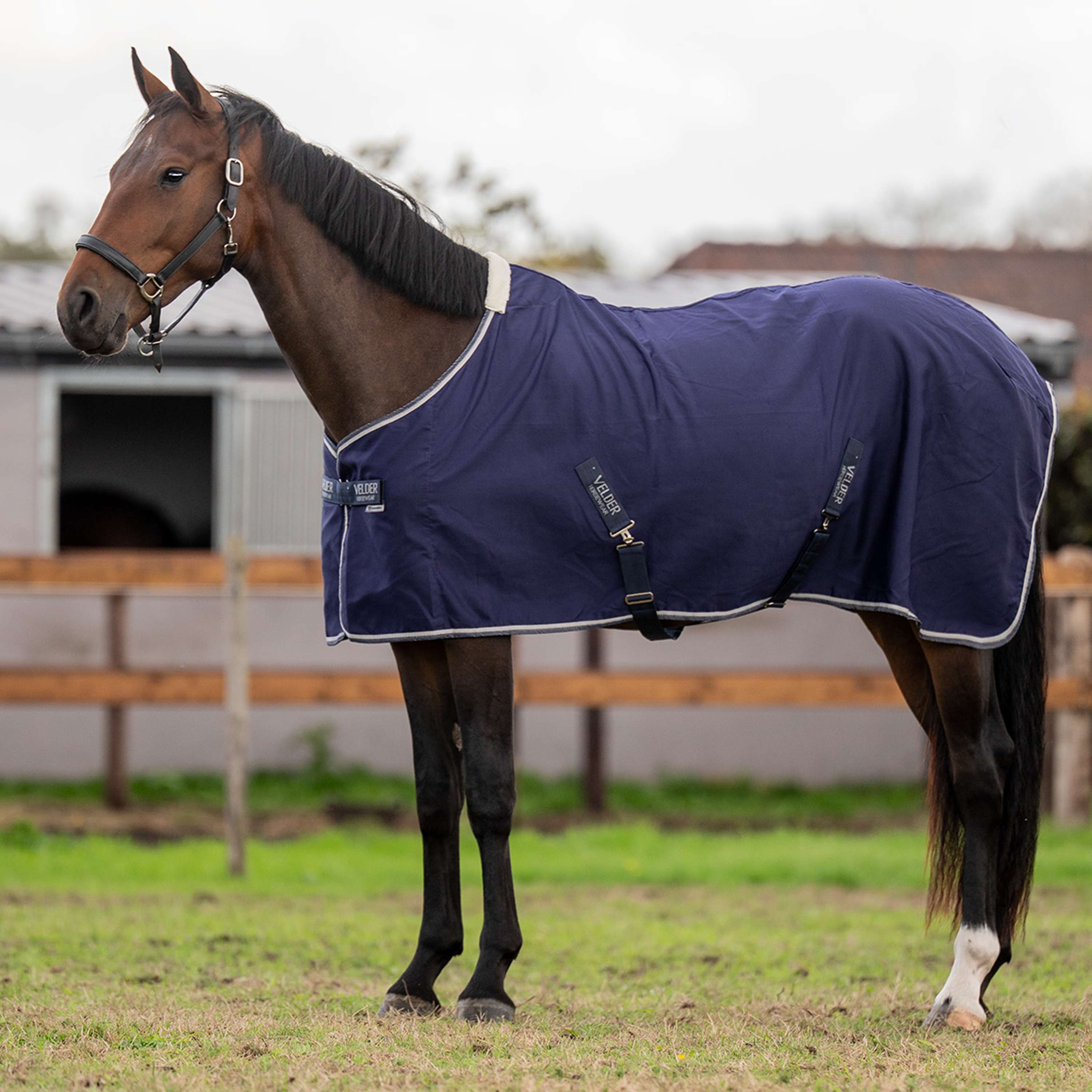 Velder Horsewear Essentials Sommerdecke Navy