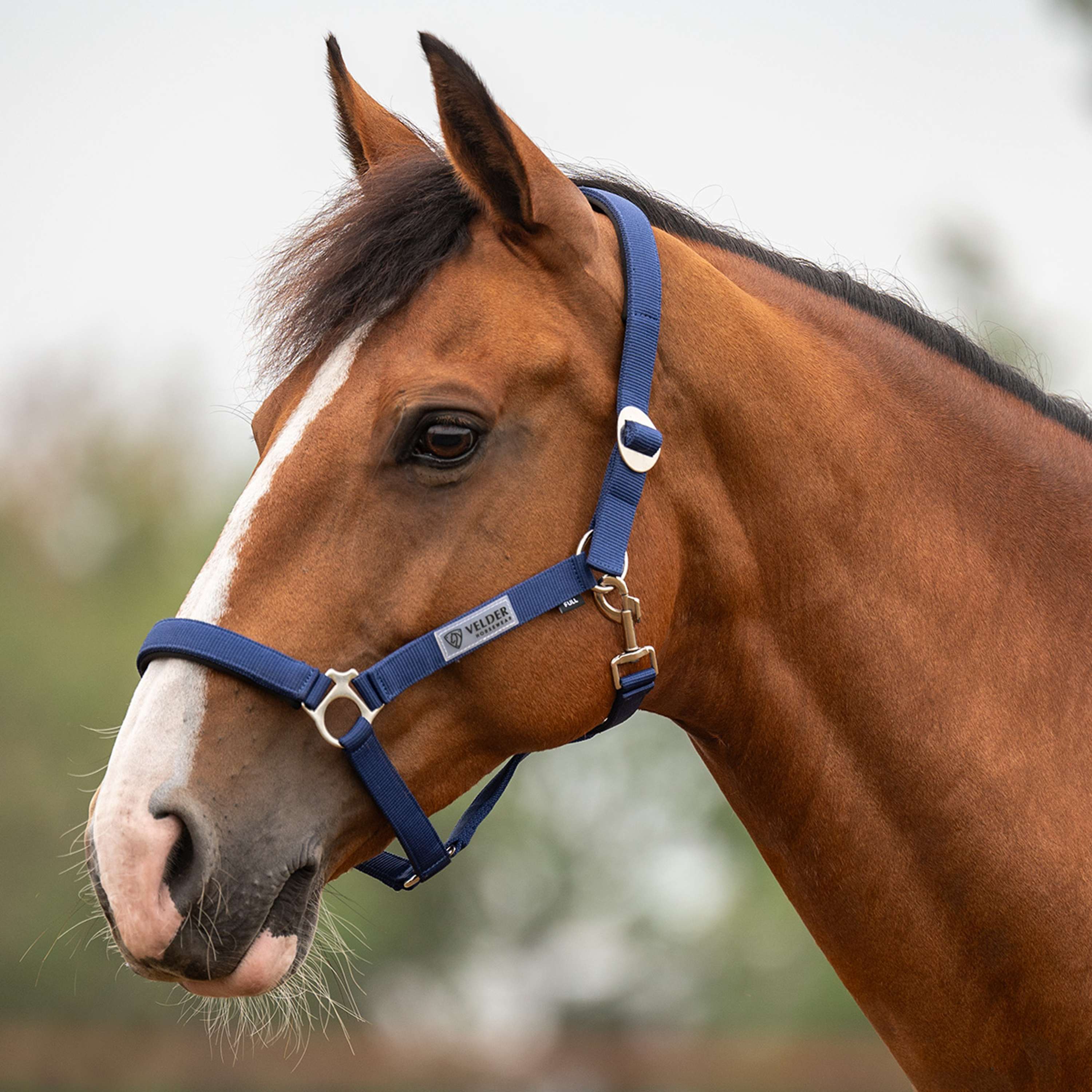 Velder Horsewear Essentials Halfter Basic Padded Navy