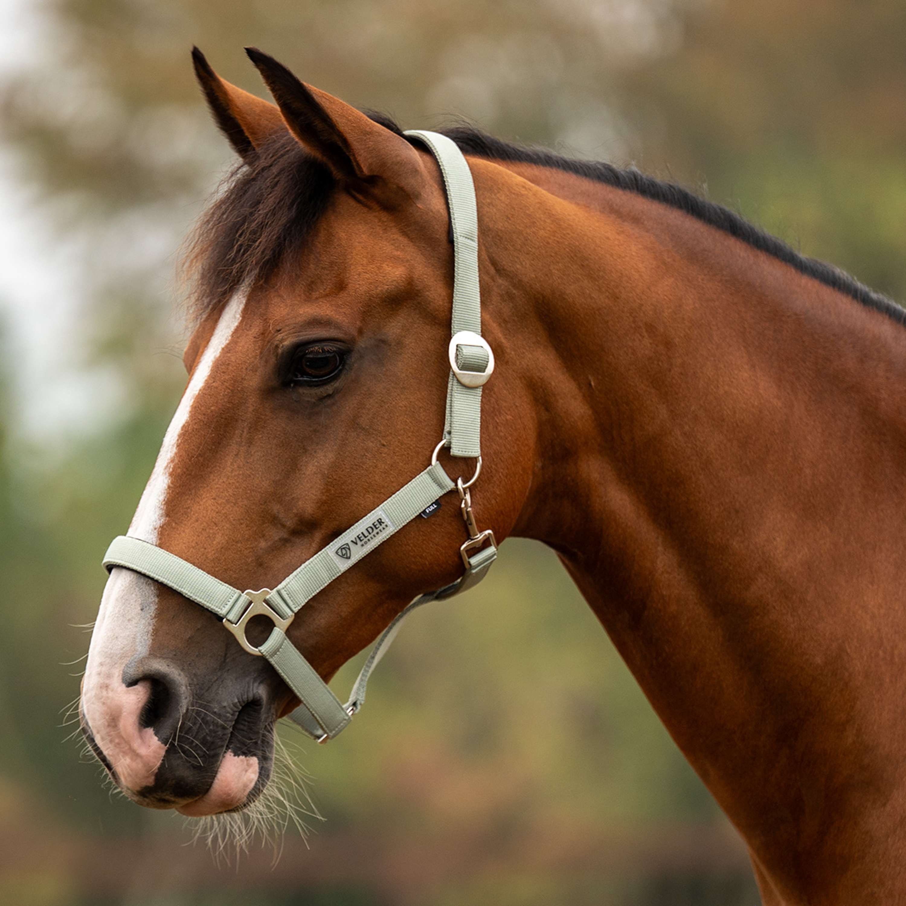 Velder Horsewear Essentials Halfter Basic Padded Grün