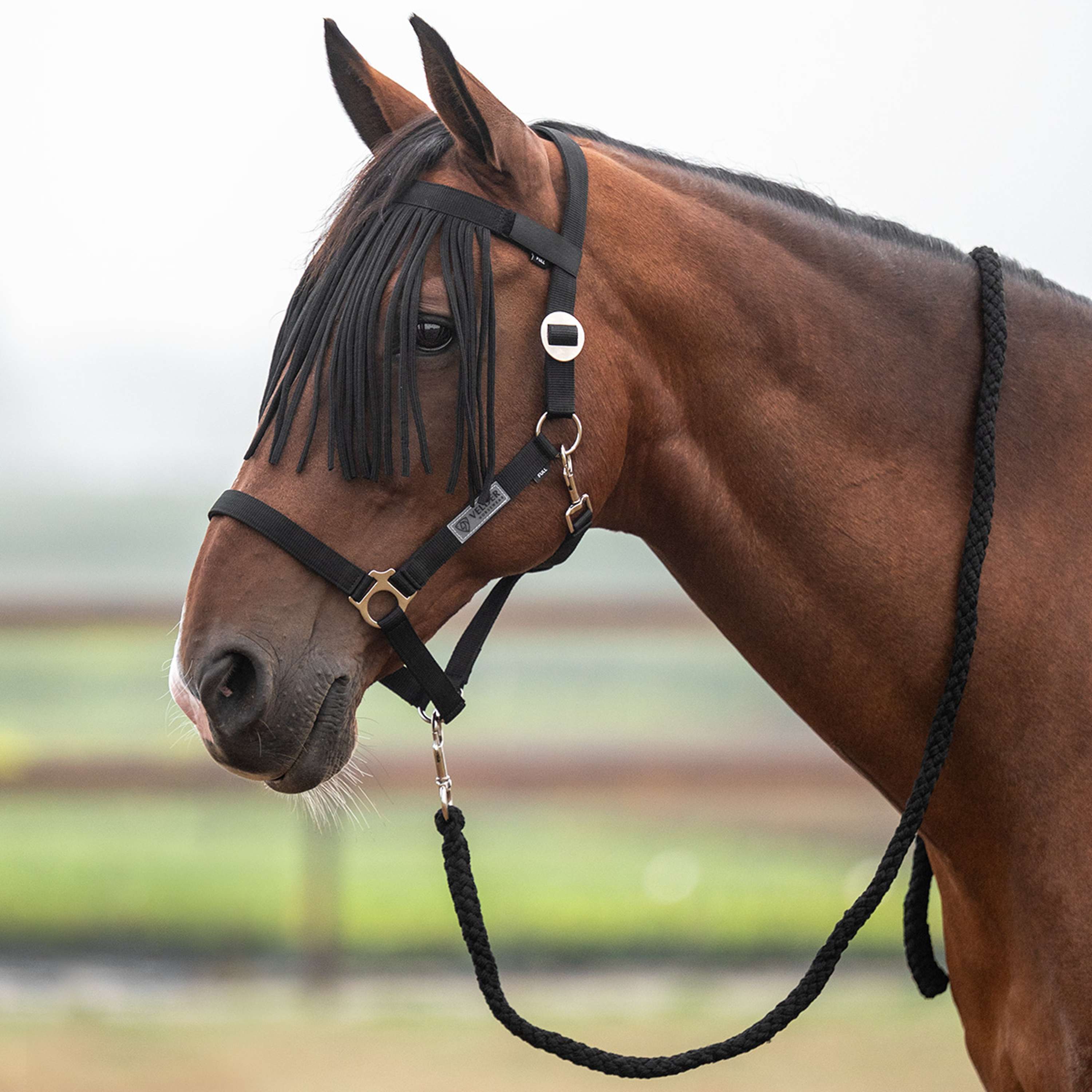 Velder Horsewear Essentials Halfterset Basic Summer Schwarz