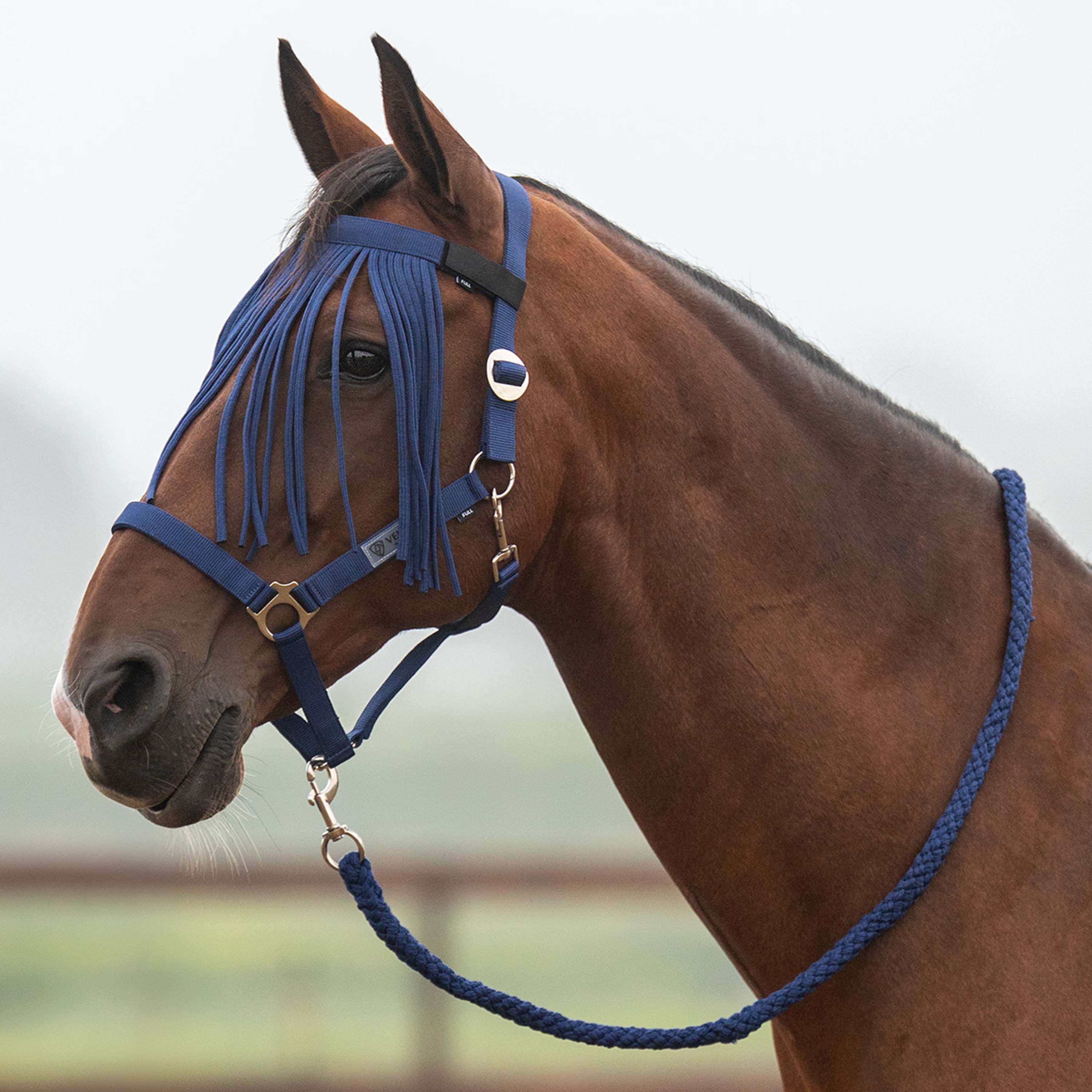 Velder Horsewear Essentials Halfterset Basic Summer Navy