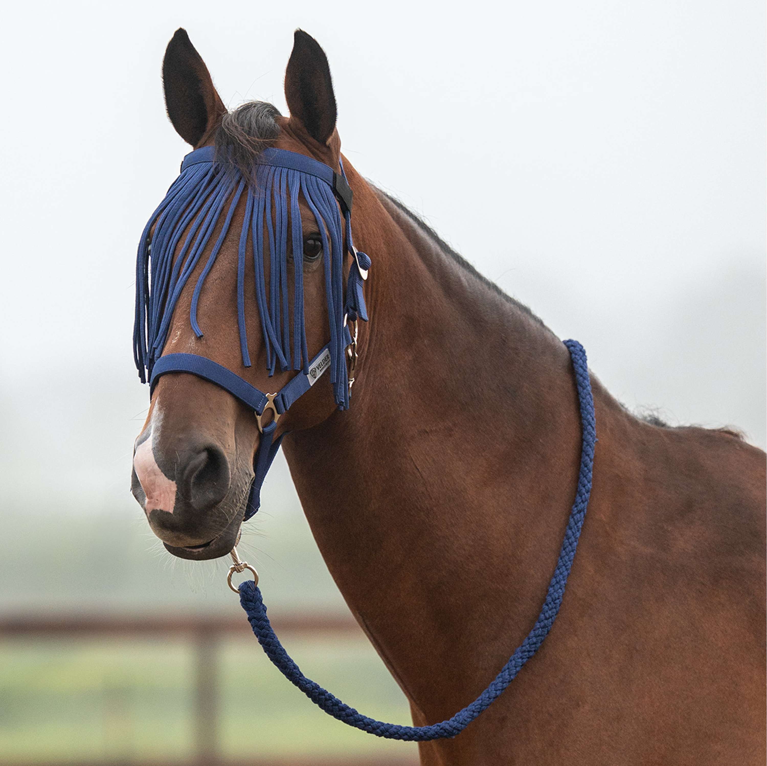 Velder Horsewear Essentials Halfterset Basic Summer Navy