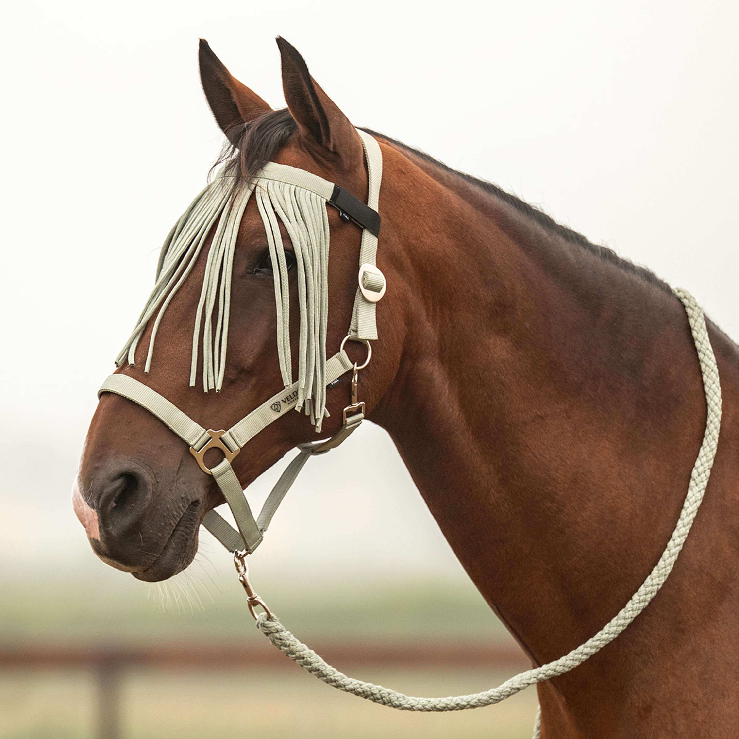 Velder Horsewear Essentials Halfterset Basic Summer Grün