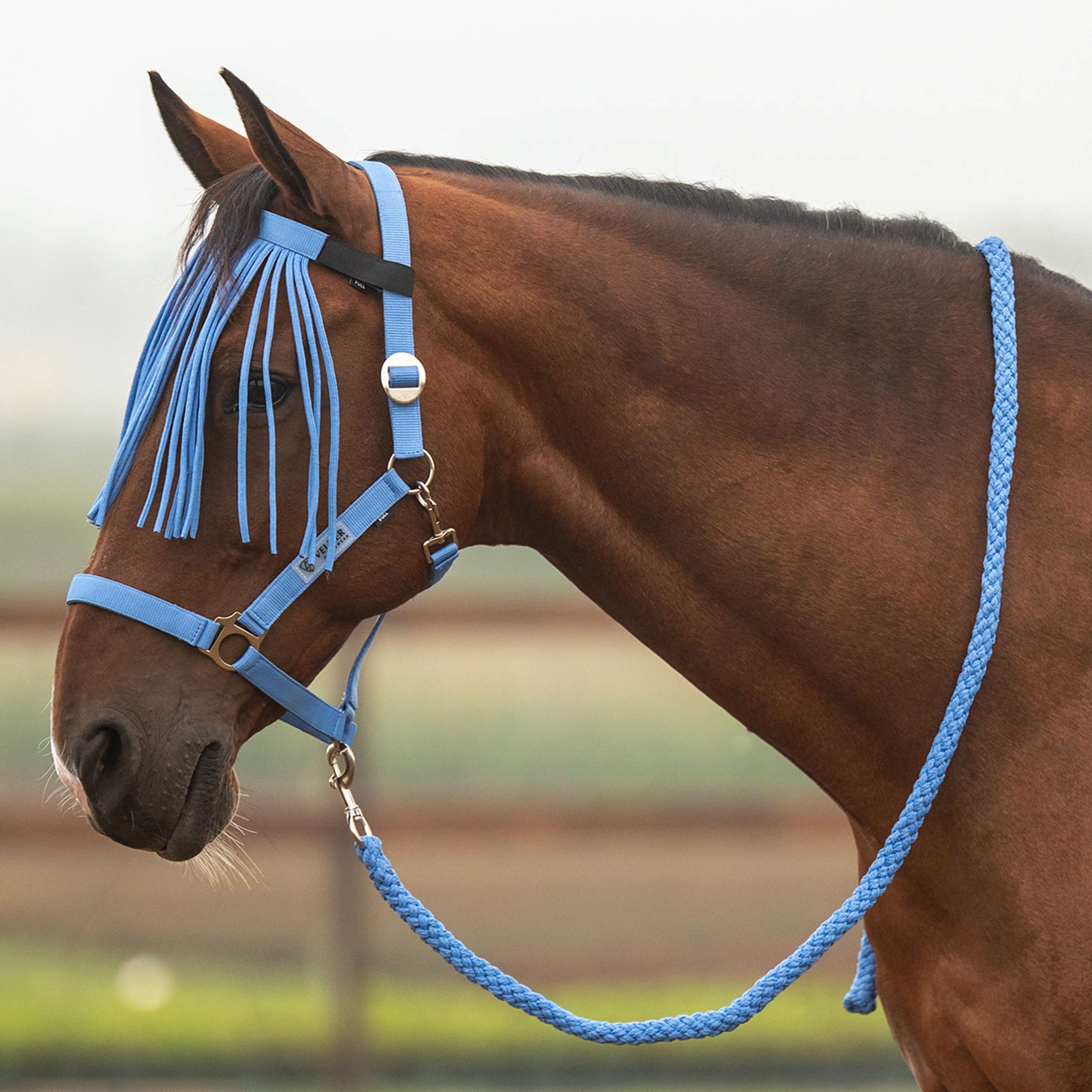 Velder Horsewear Essentials Halfterset Basic Summer Bright Cornflower
