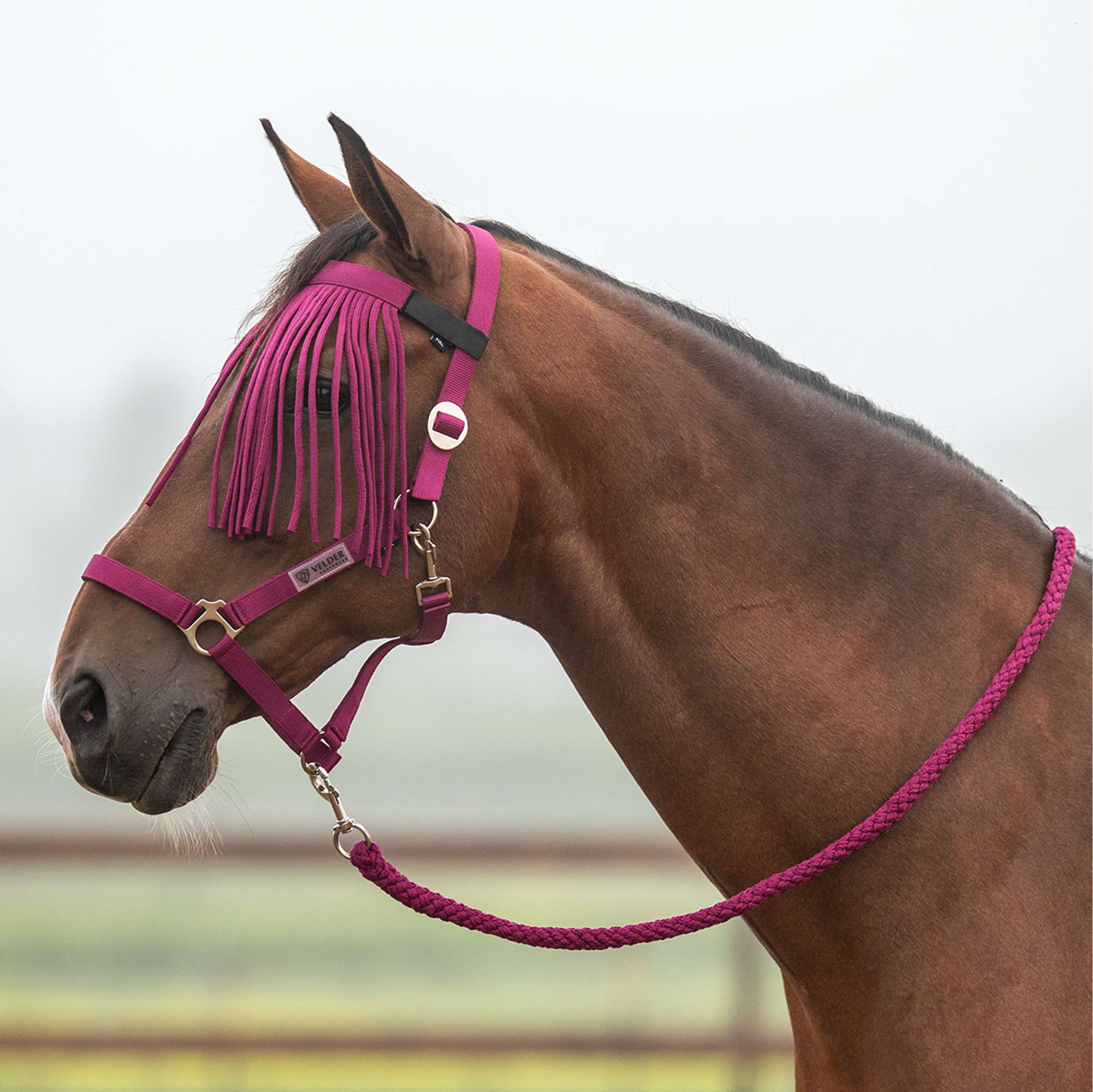 Velder Horsewear Essentials Halfterset Basic Summer Boysenberry