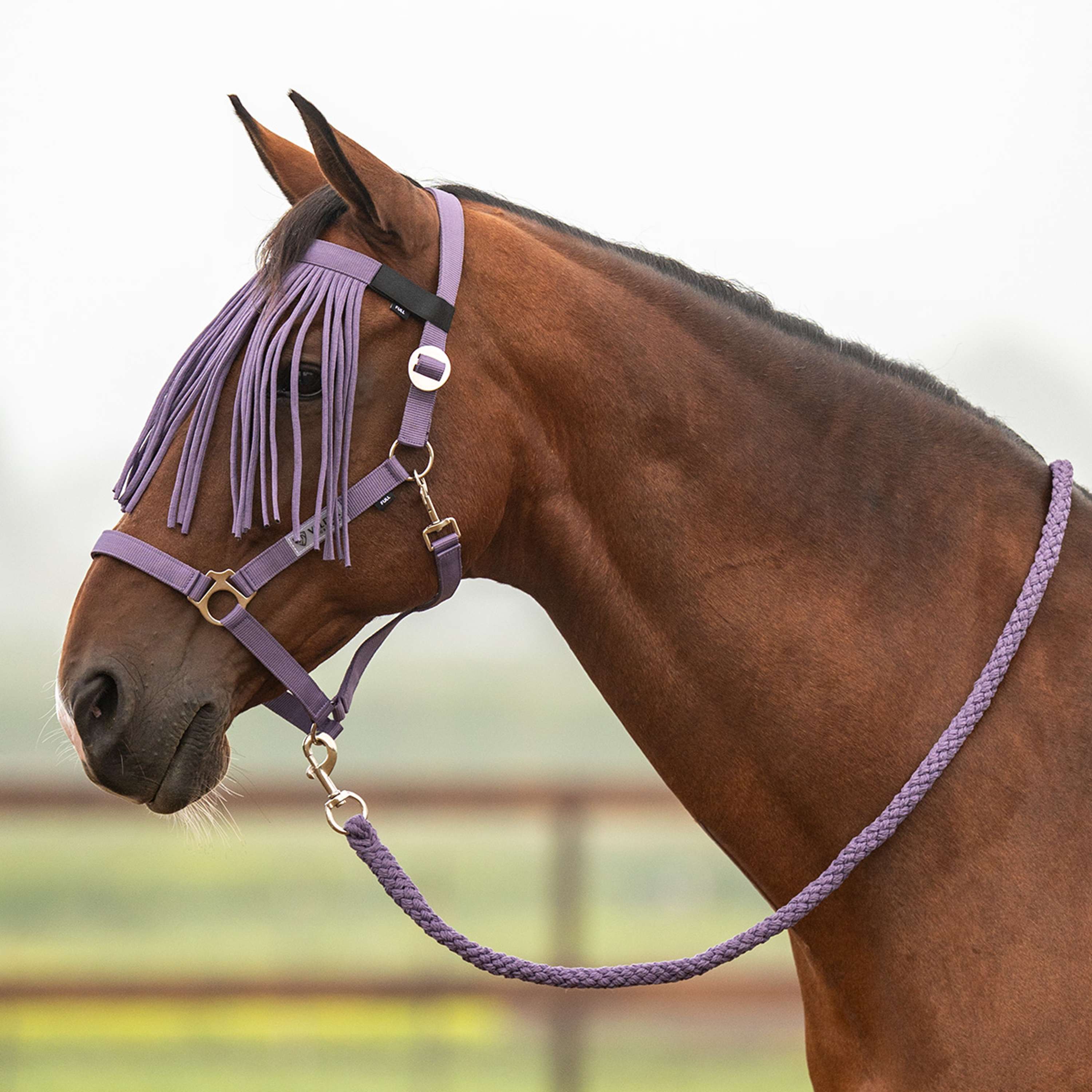 Velder Horsewear Essentials Halfterset Basic Summer Purple Sage