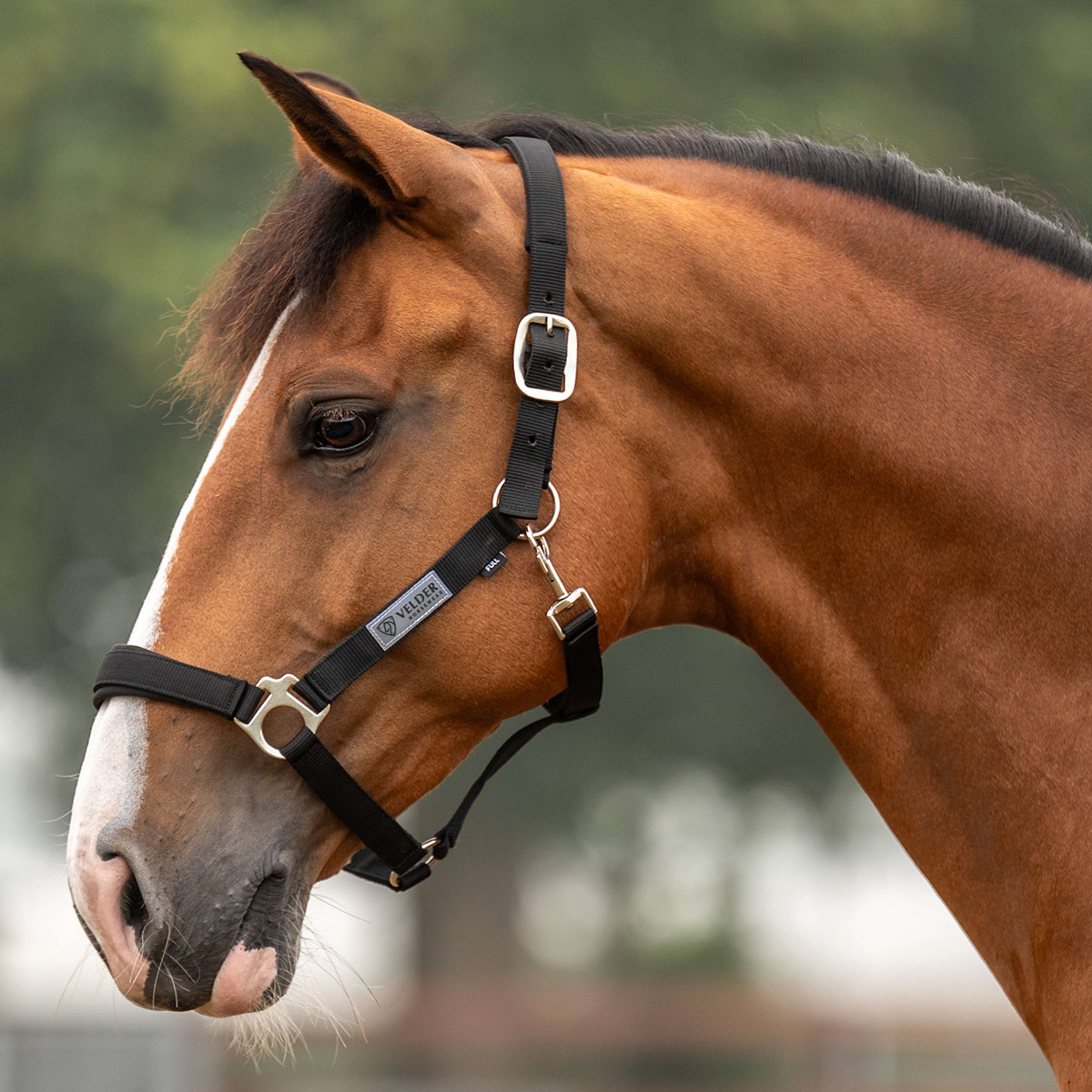 Velder Horsewear Essentials Halfter Basic Comfort Schwarz
